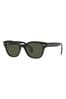 Sunglasses WD00048-MT0000-AR300-4-401-20-CN-D Artemisia