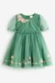 Green Embroidered Mesh Party Dress (3mths-10yrs) - Image 1 of 1
