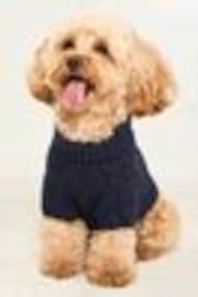 Lipsy Navy Blue Super Soft Cable Design Dog Jumper with Wool - Image 1 of 1