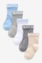 Baker by Ted Baker Baby Socks 5 Pack - Image 1 of 1