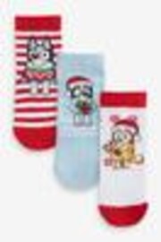 Christmas Bluey Cotton Rich License Socks 3 Pack - Image 1 of 1