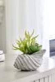 Green Artificial Succulent In A Grey Ceramic Shell - Image 1 of 1