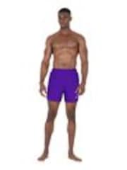 Nike Purple Essential 5 Inch Volley Swim Shorts - Image 1 of 1