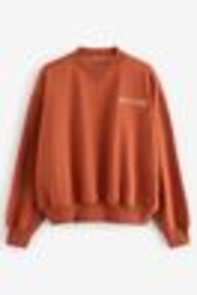 self. Rust Brown Crew Neck Sweat Top - Image 1 of 1