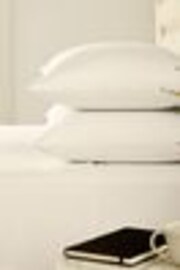 Helena Springfield Brushed Plain 100% Cotton Dye čevlji s plosko peto/brez pete Bed Sheet - Slika 1 iz 1