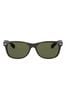 CL1901 002 sunglasses