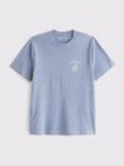 Abercrombie & Fitch Blue Back Print Short Sleeve 100% Cotton T-Shirt - Image 1 of 1