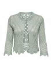 JDY Green Crochet 3/4 Sleeve Cardigan - Image 1 of 1