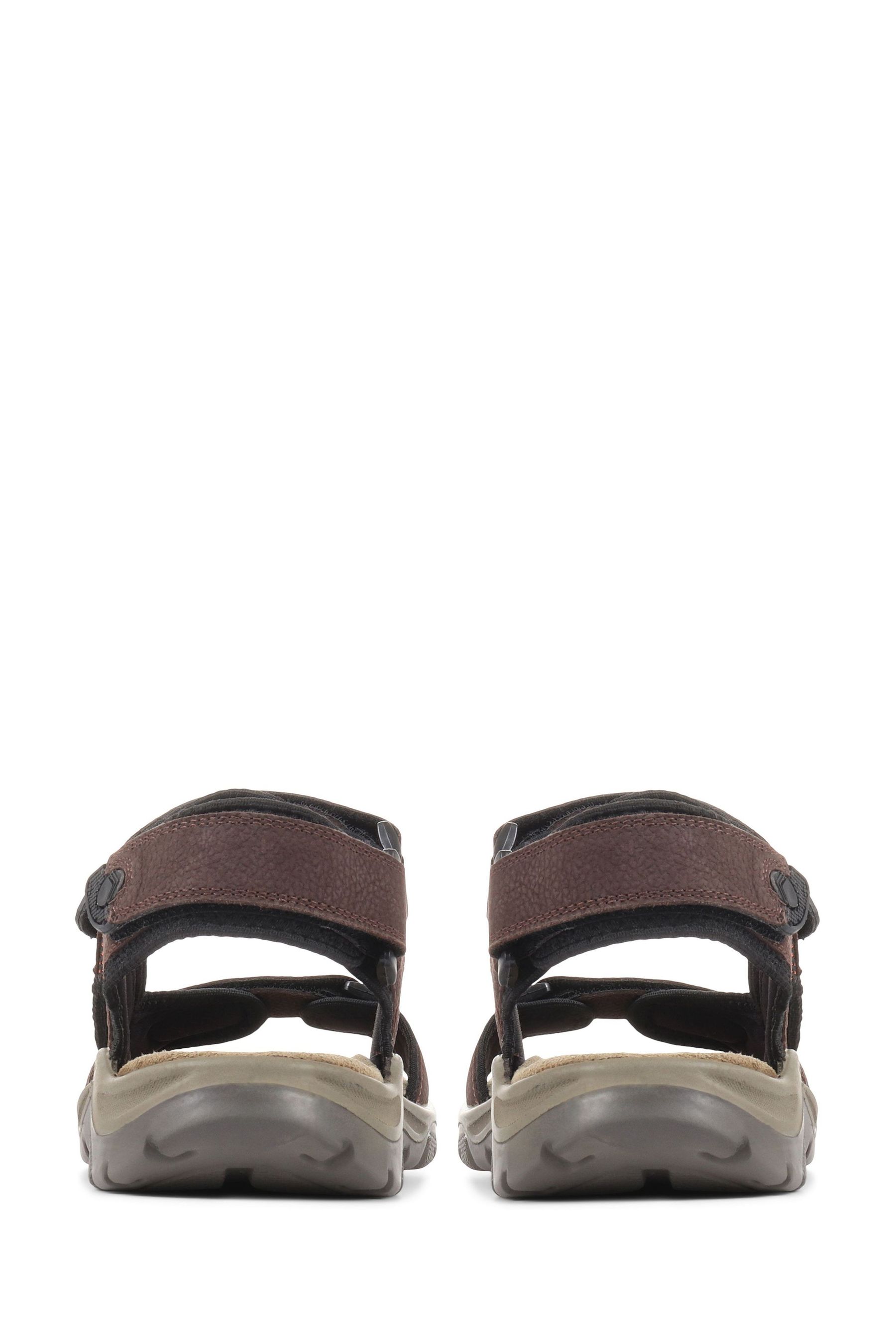 Buy Pavers Brown Leather Walking Sandals from the Next UK online shop