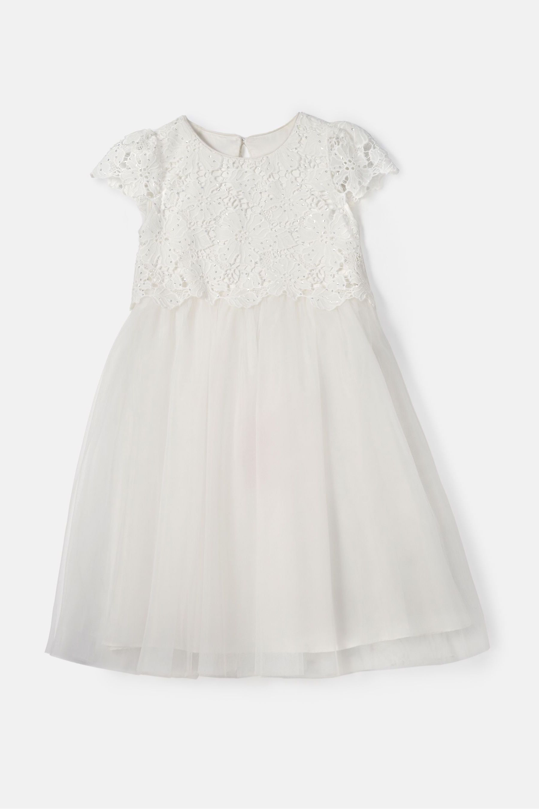 Buy Angel & Rocket Cream Esme Lace Bodice Dress from the Next UK online ...