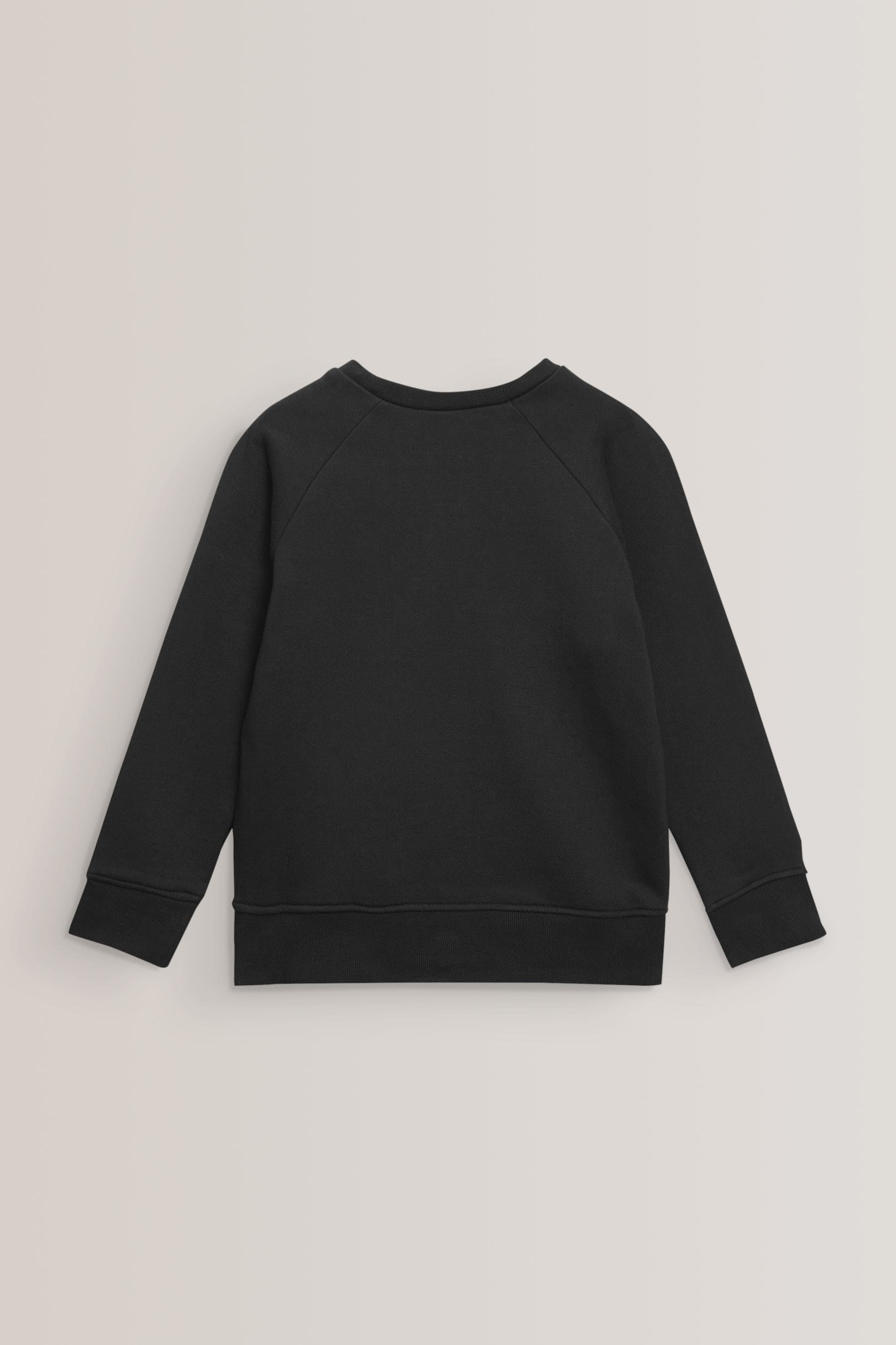 Buy Black 1 Pack Crew Neck School Sweater (3-17yrs) from the Next UK ...