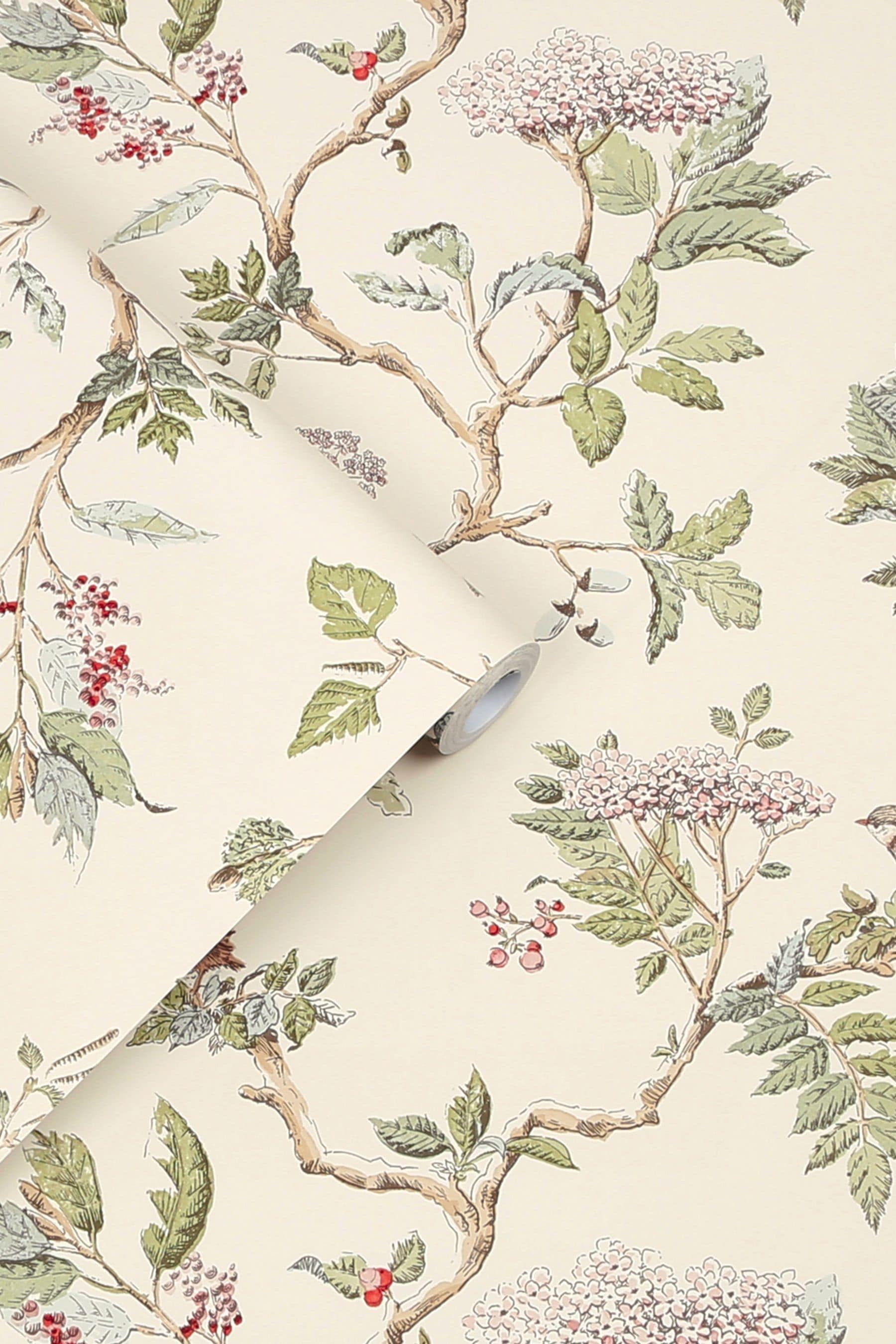 Buy Laura Ashley Natural Elderwood Wallpaper Wallpaper from the Next UK 