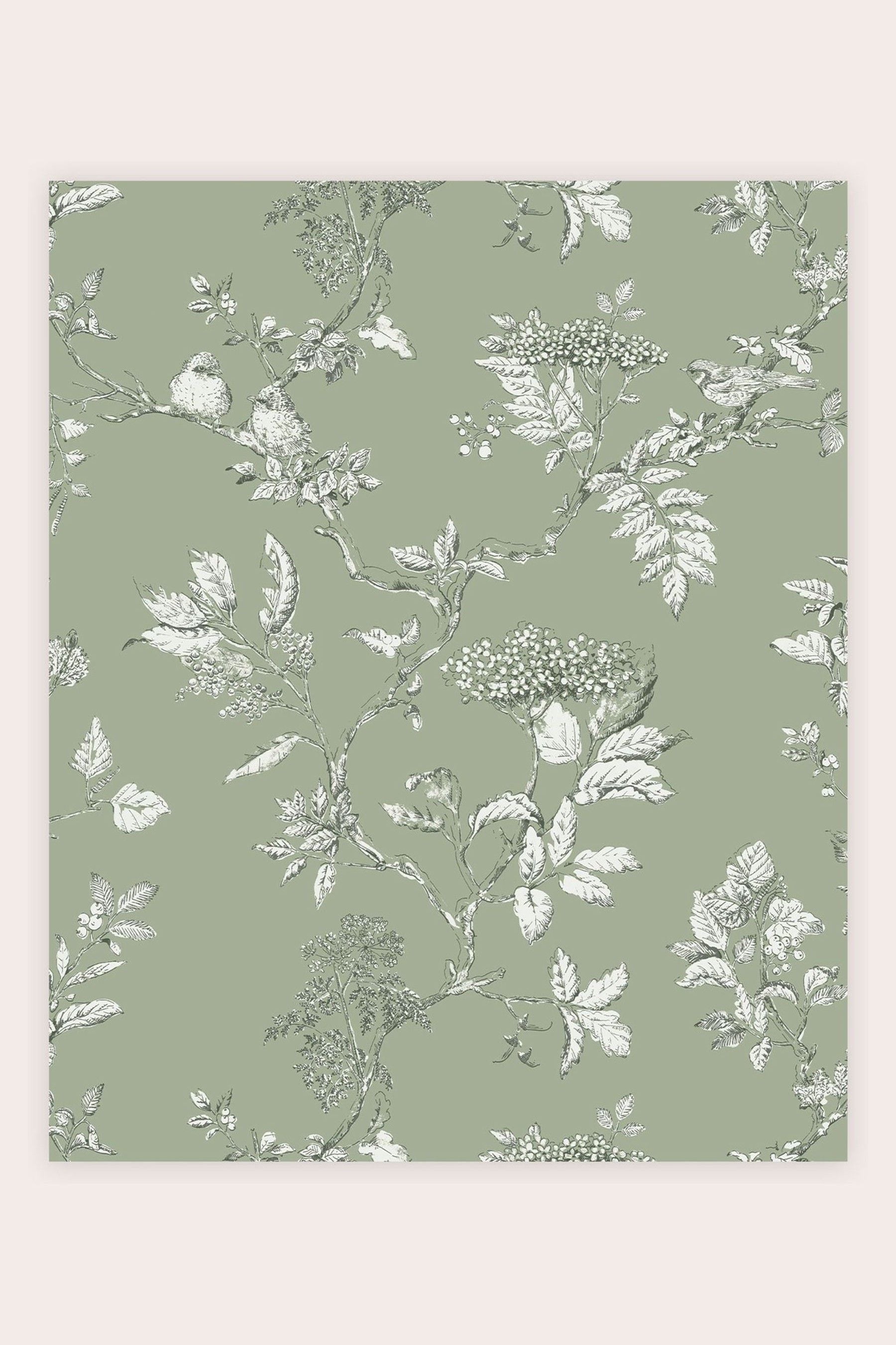 Buy Laura Ashley Sage Green Elderwood Wallpaper Wallpaper From The Next