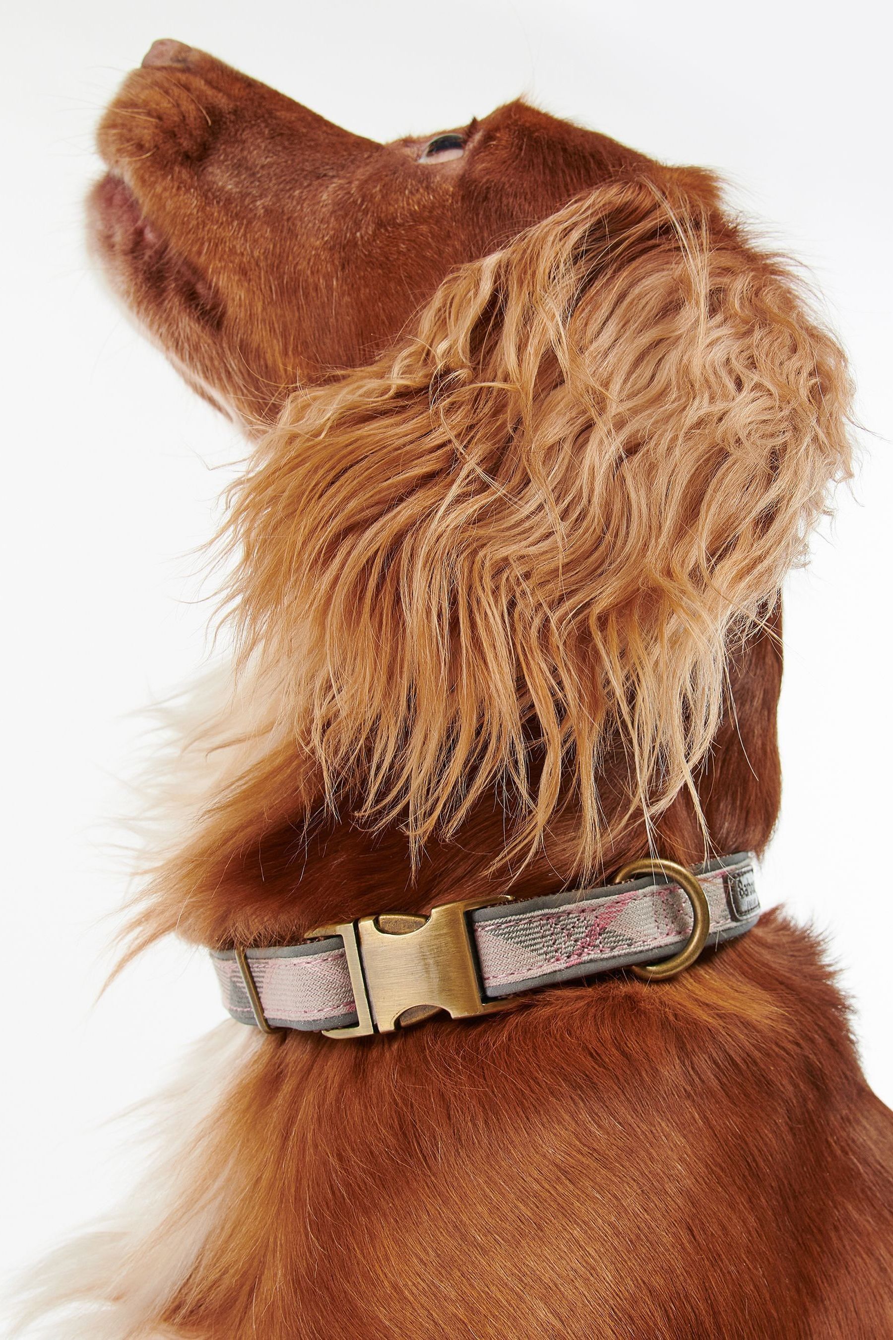 Buy Barbour® Pink Reflective Tartan Dog Collar from the Next UK online shop