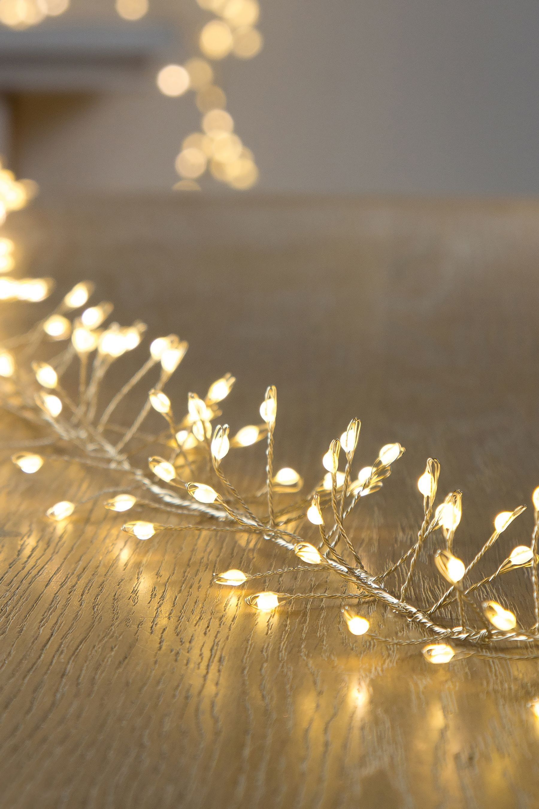 Buy White Ultrabright Cluster Christmas Line Lights from the Next UK online shop