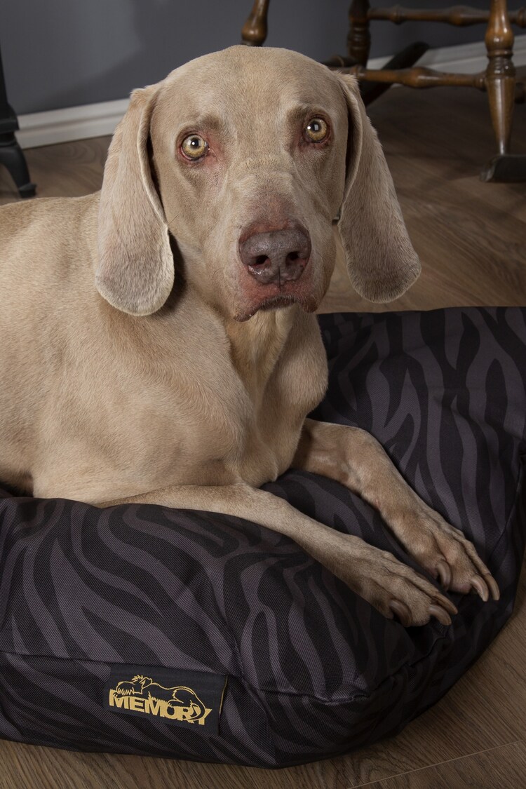 Scruffs® Black Medium Expedition Memory Foam Orthopaedic Pet Pillow - Image 1 of 1