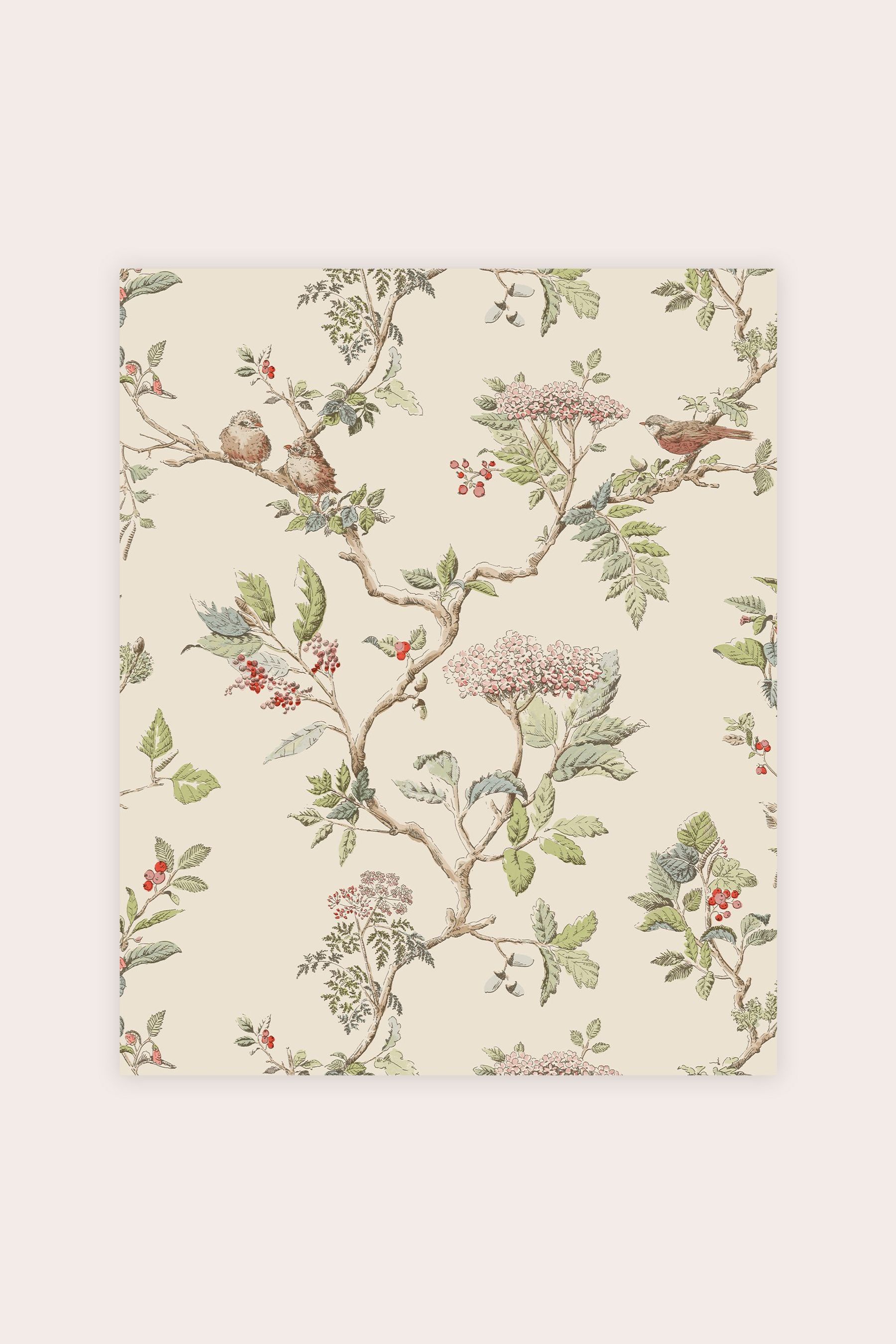 Buy Laura Ashley Natural Elderwood Wallpaper Sample Wallpaper from the