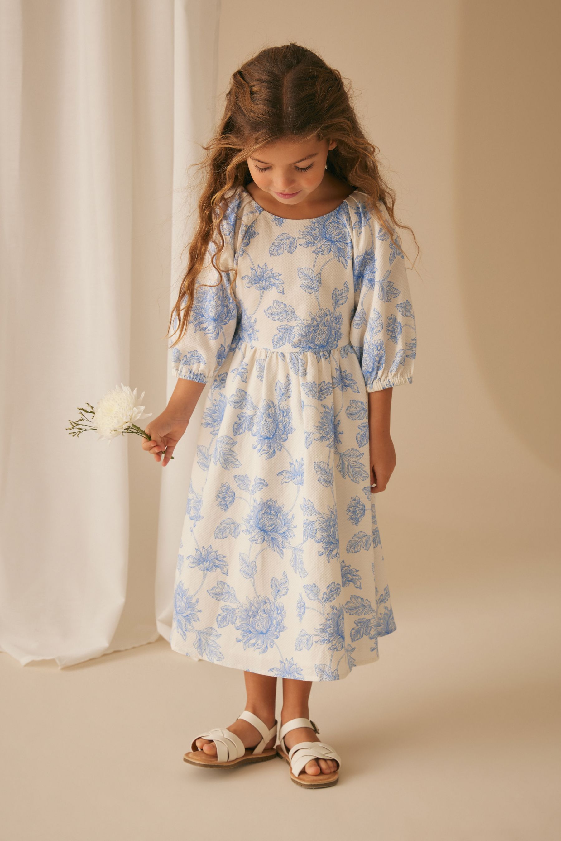 Buy Laura Ashley Blue Stratton Midi Dress from the Next UK online shop