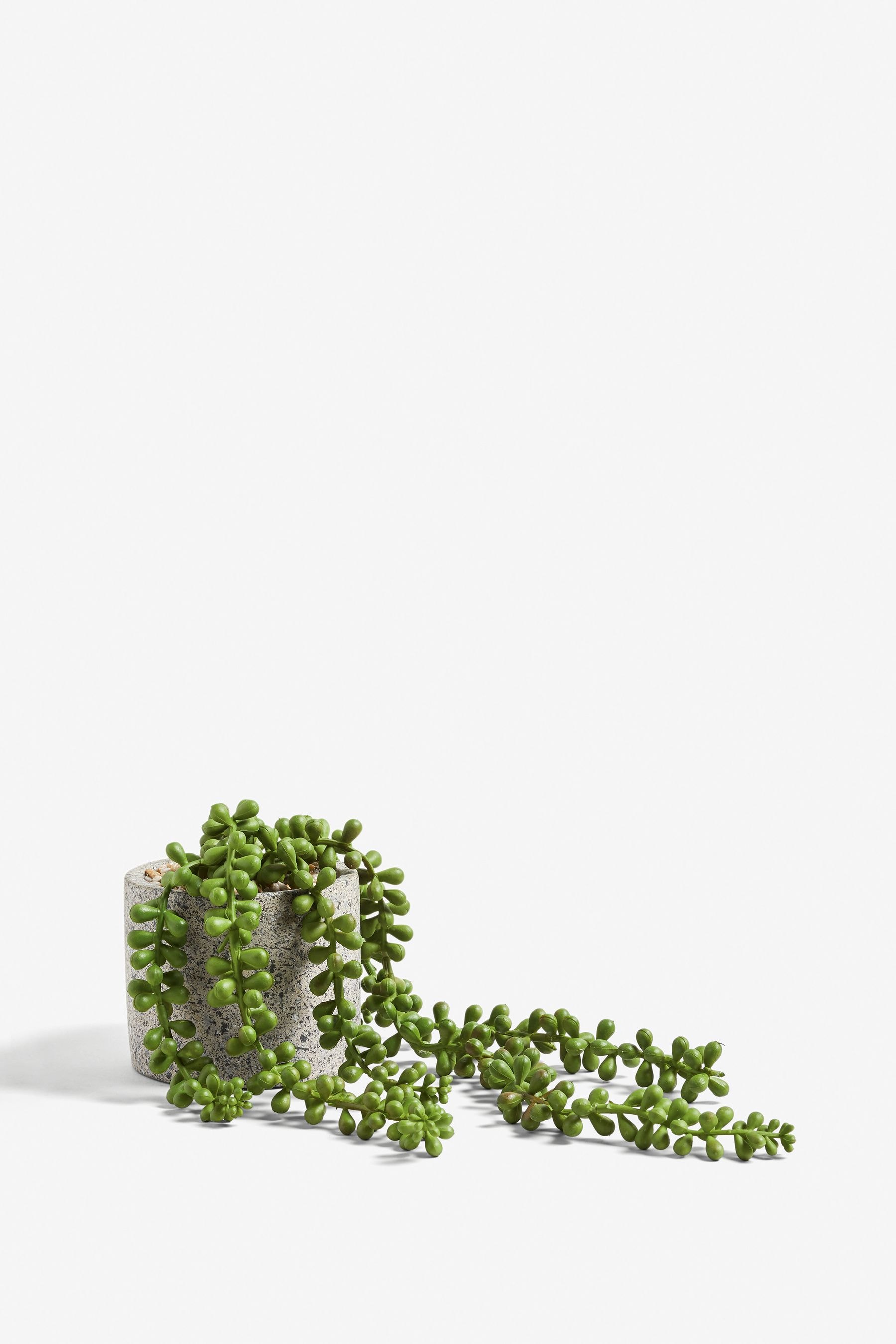 Buy Artificial Trailing Plant In Concrete Effect Pot from Next Luxembourg