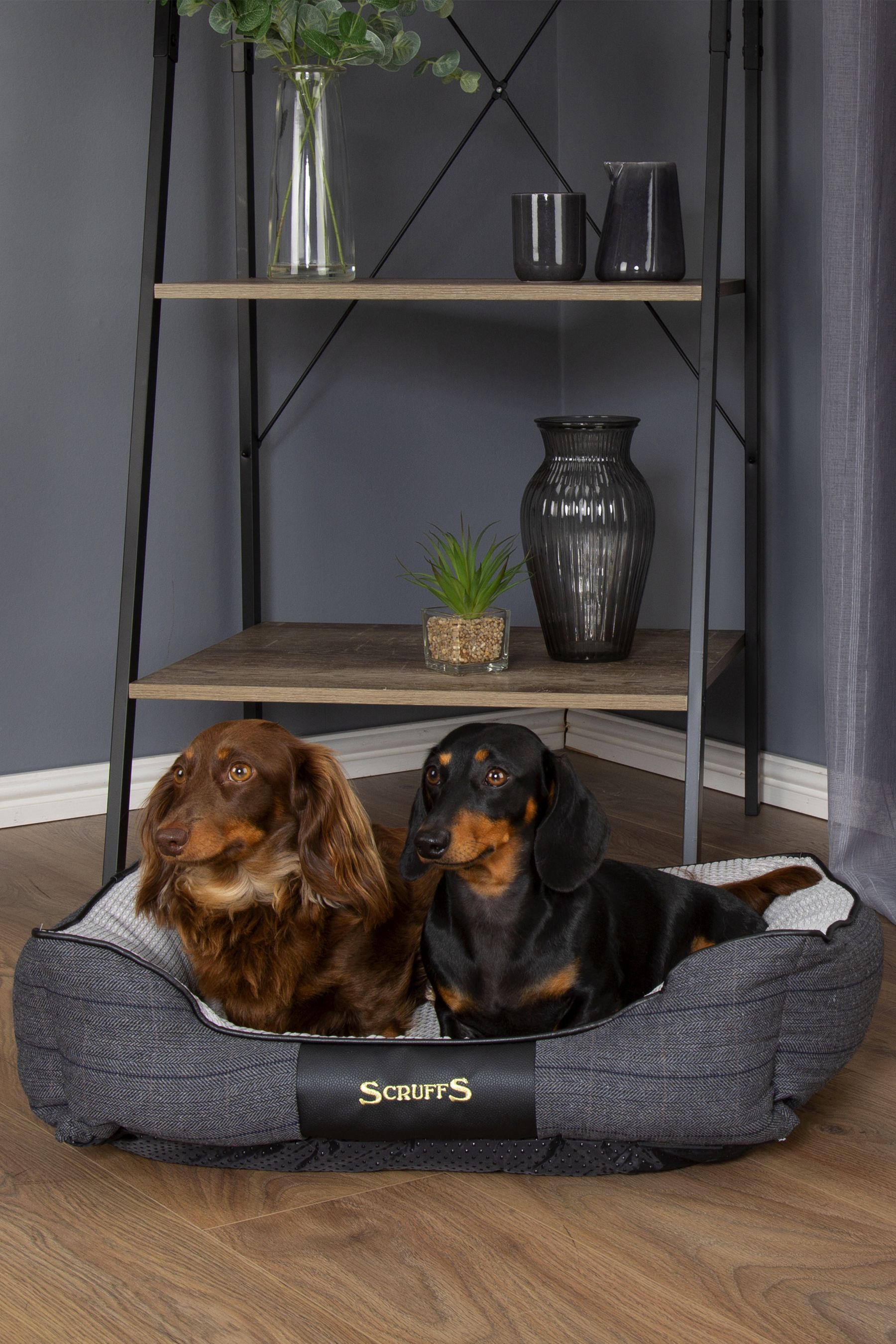 Buy Scruffs® Black Windsor Extra Large Breed Dog Box Bed from the Next