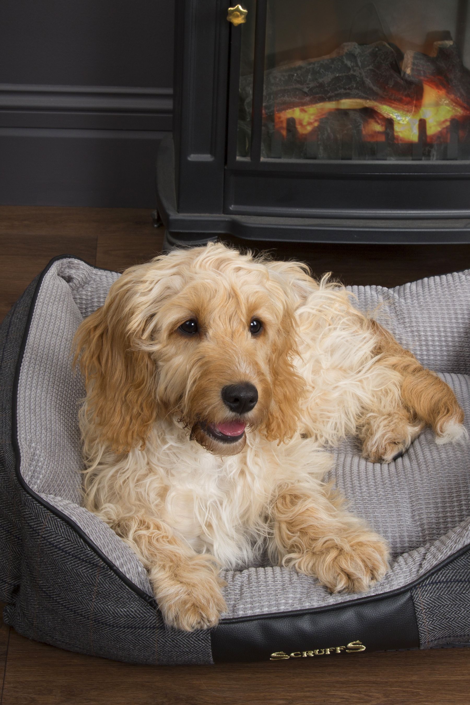 Buy Scruffs® Black Windsor Extra Large Breed Dog Box Bed from the Next