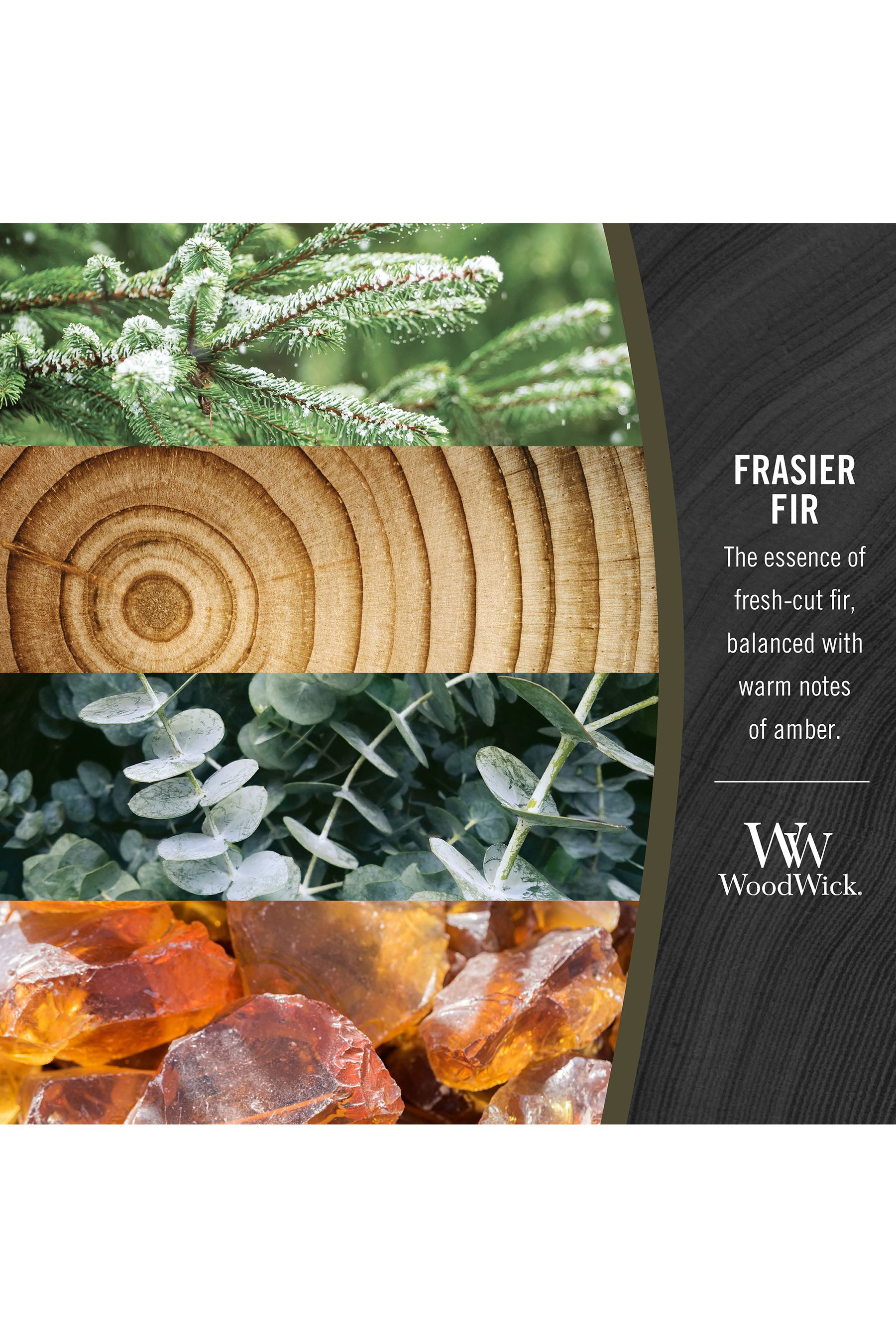 Buy Woodwick Green Ellipse Scented Candle with Crackle Wick Frasier Fir