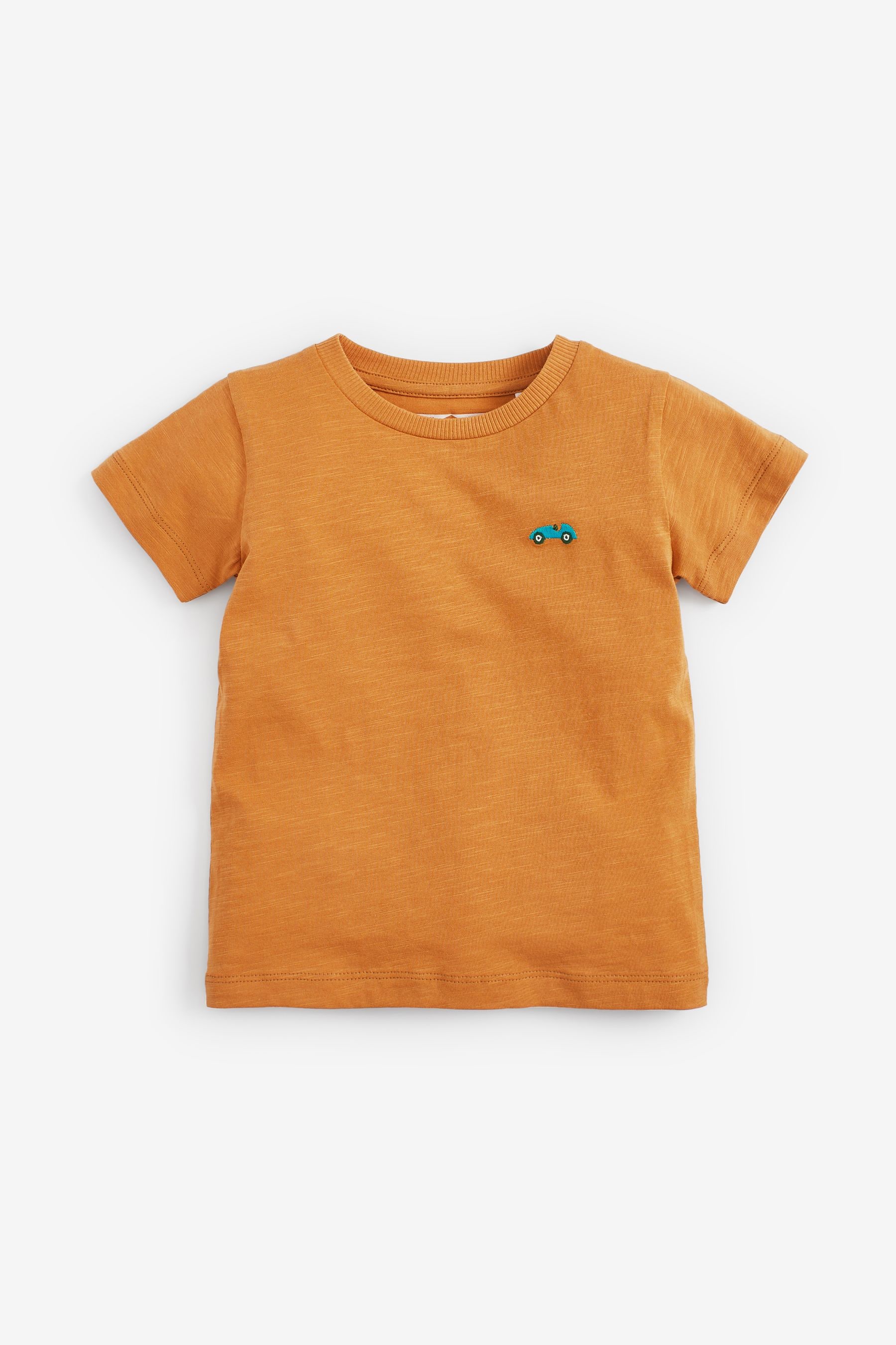 Buy Mineral Short Sleeve T-Shirt 5 Pack (3mths-7yrs) from the Next UK ...