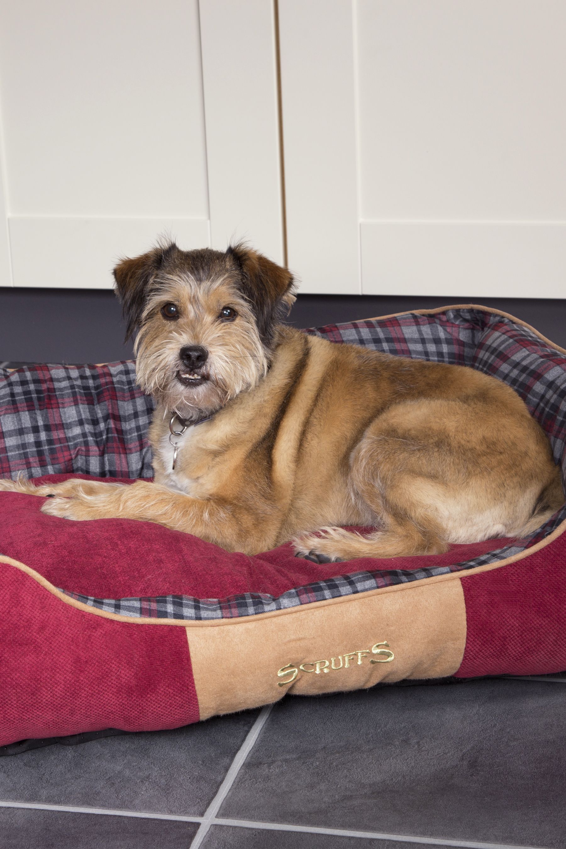Buy Scruffs® Red Washable Highland Tartan Medium Breed Dog Bed from the Next UK online shop