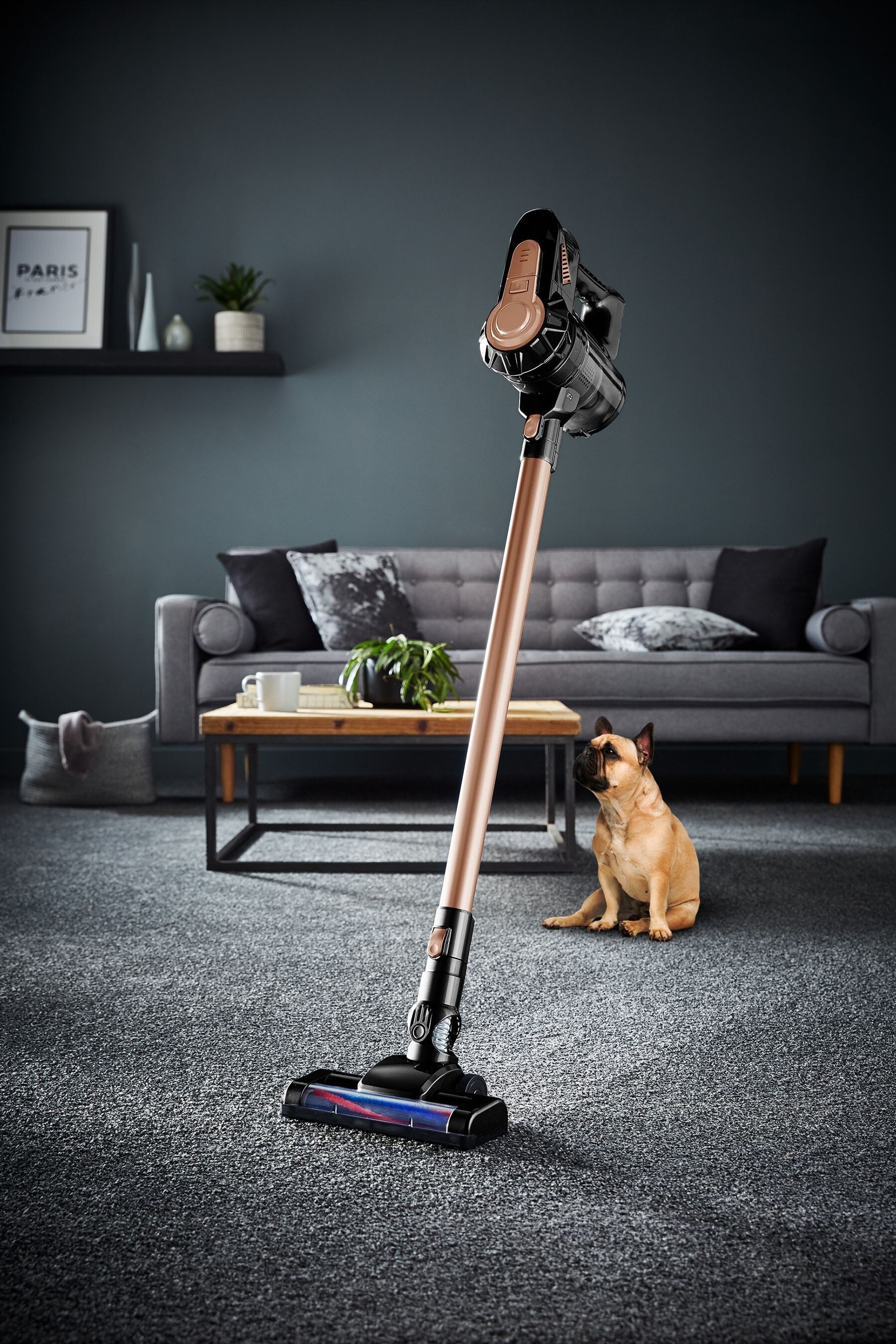 Buy Tower Gold Cordless 3In1 Vacuum Cleaner from the Next UK online shop