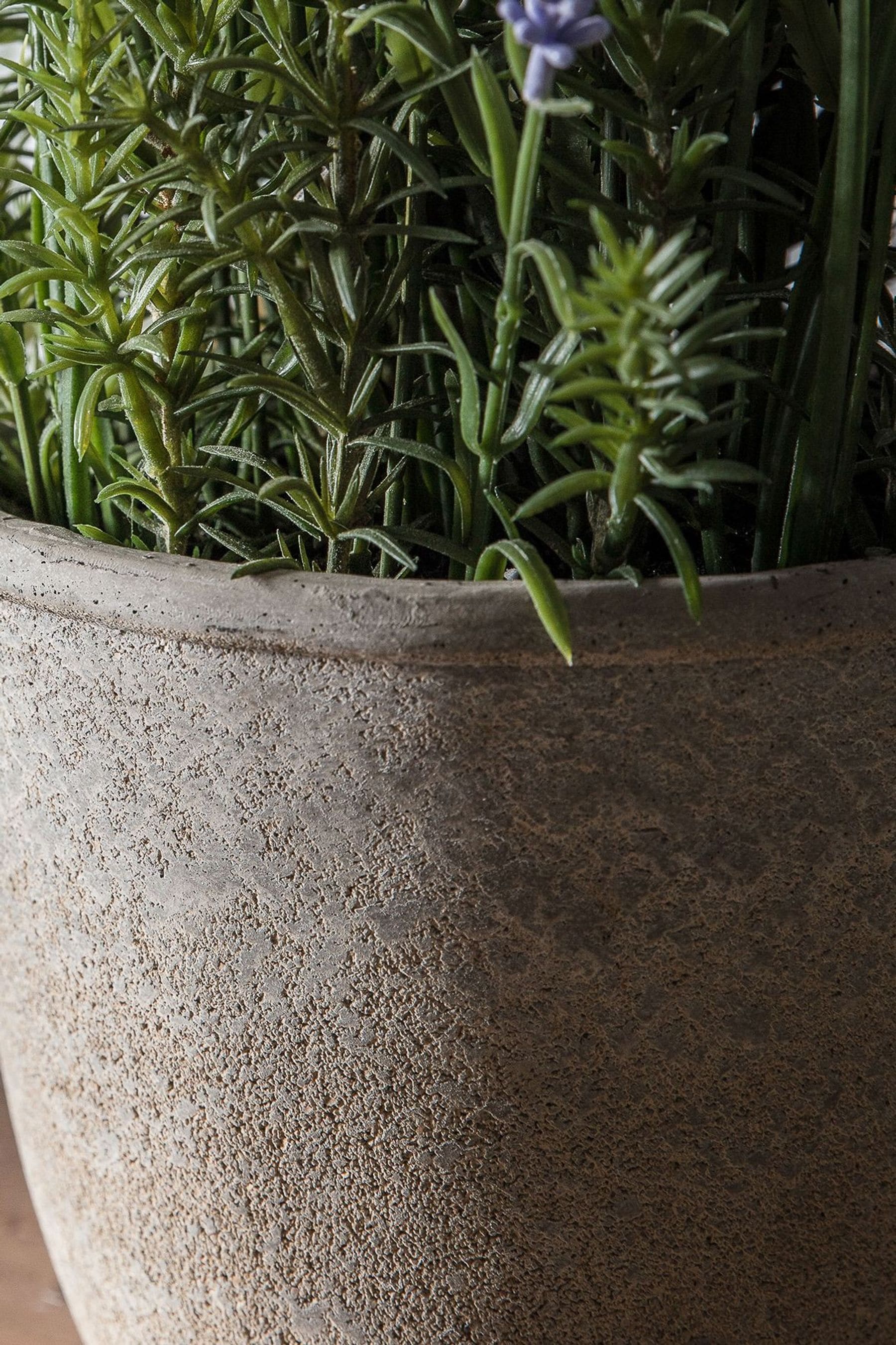 Buy Gallery Home Green Artificial Large Lavender Plant In Cement Pot