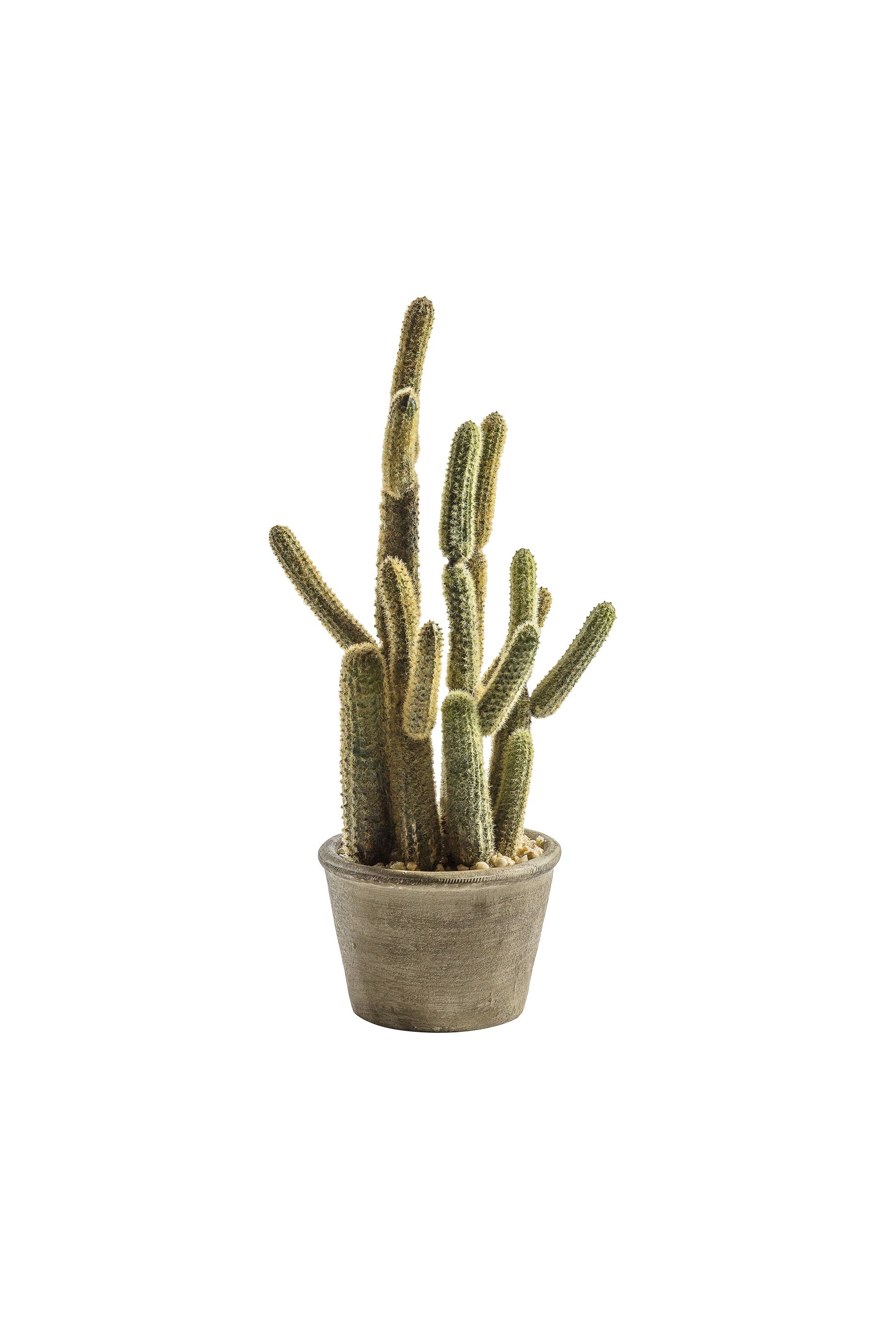 Buy Gallery Home Green Artificial Large Carnegiea Cactus from the Next