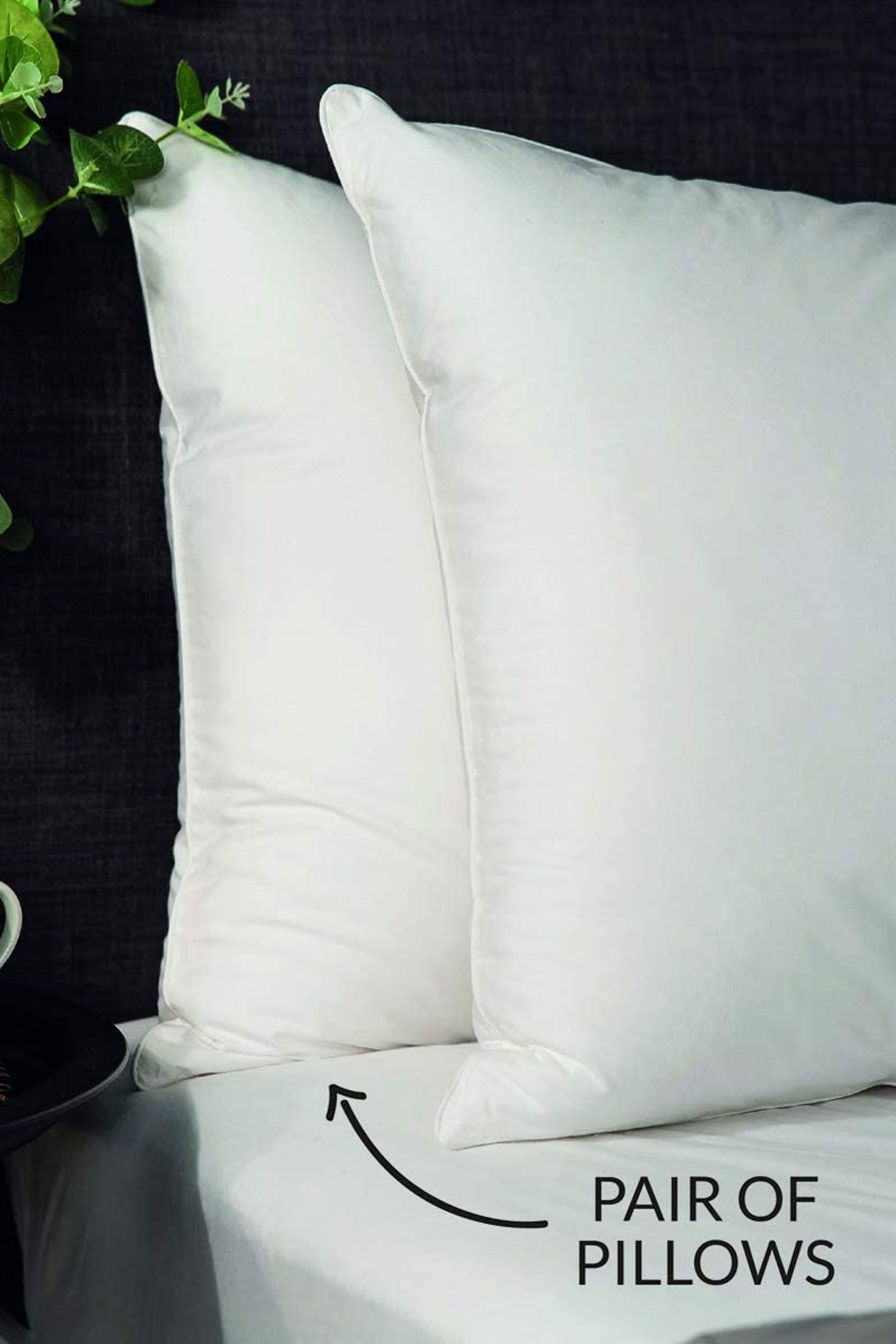 Buy Snuggledown 2 Anti Allergy Pillows from the Next UK online shop