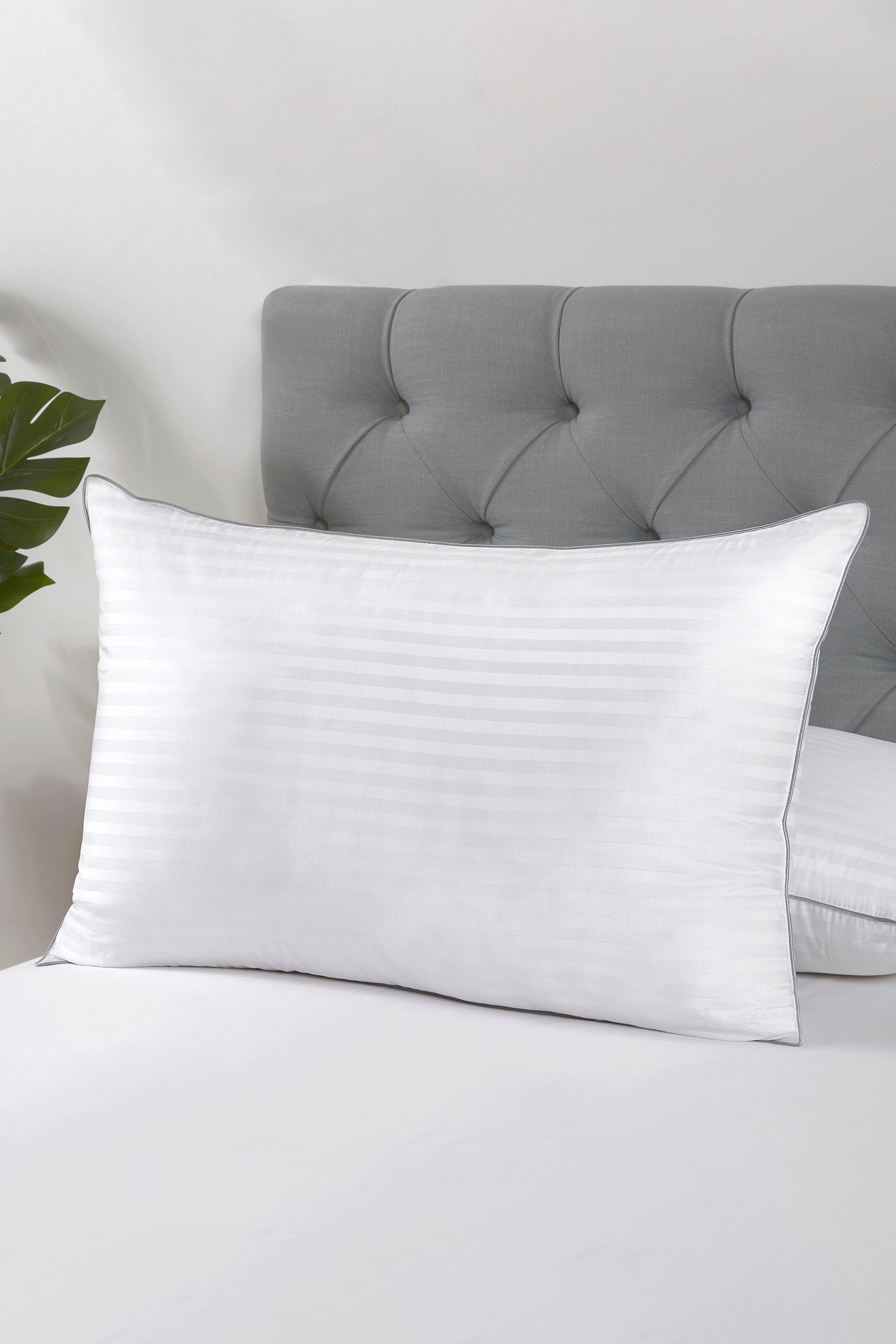 Buy BHS Goose Down Pillow from the Next UK online shop