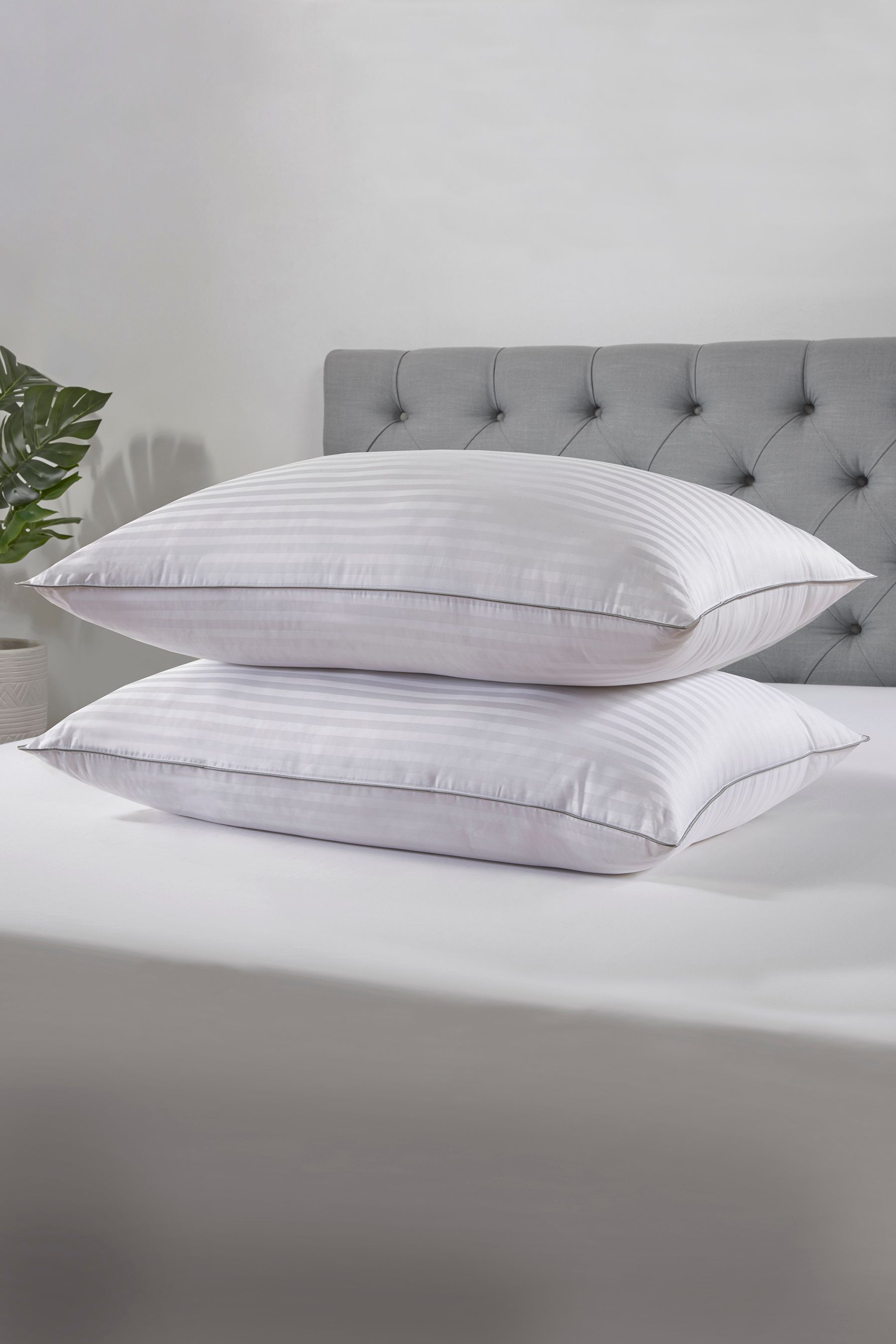 Buy BHS Goose Down Pillow from the Next UK online shop