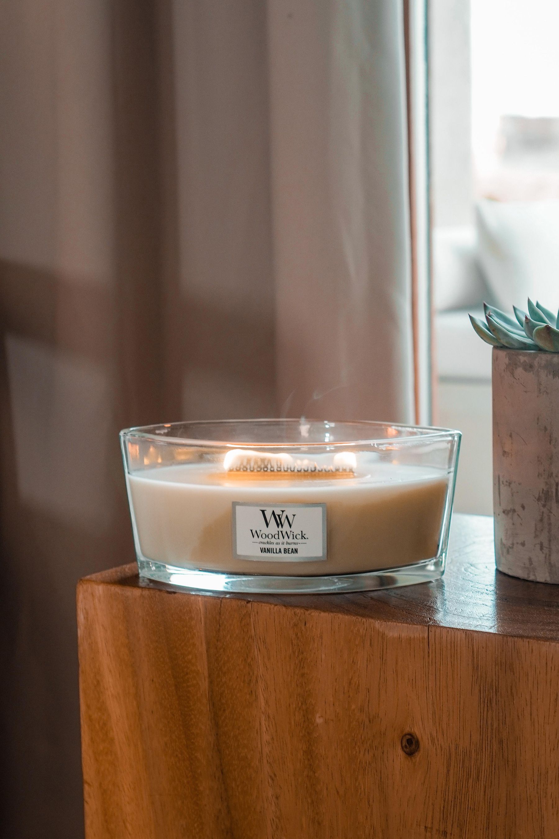 Buy Woodwick Cream Ellipse Bean Candle from the Next UK online shop