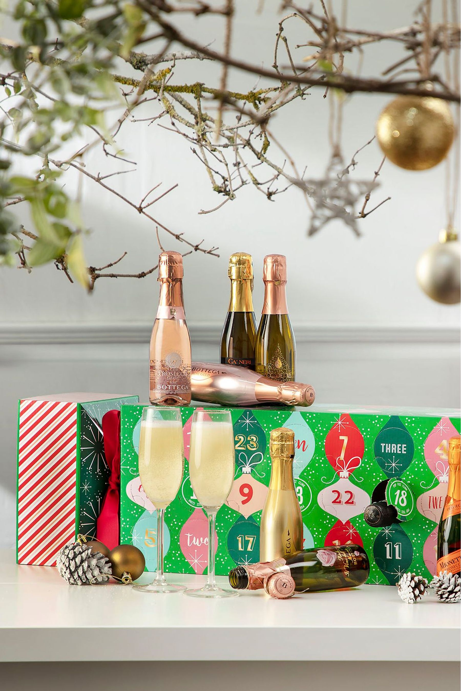 Buy Spicers of Hythe Limited FIZZ Advent Cracker from the Next UK