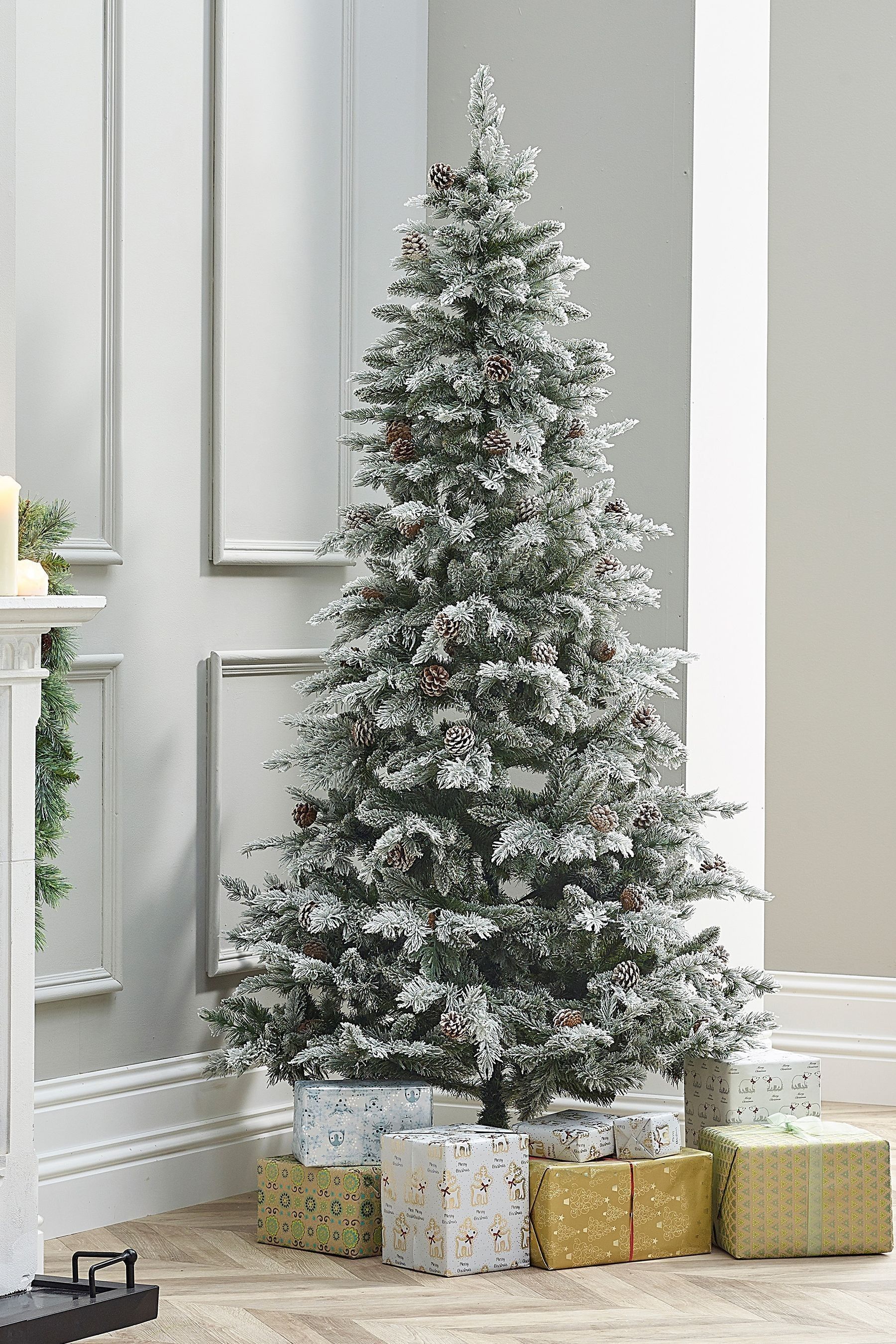 Buy The Winter Green Grand Fir Snowy Slim 6ft Christmas Tree from the Next UK online shop