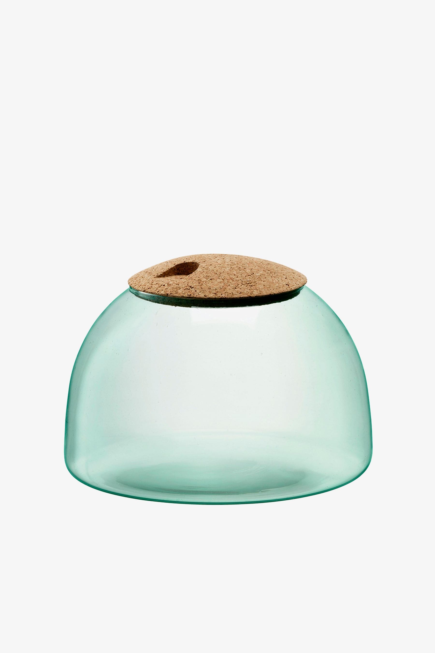 Buy LSA International Canopy Closed Garden 22cm Terrarium from the