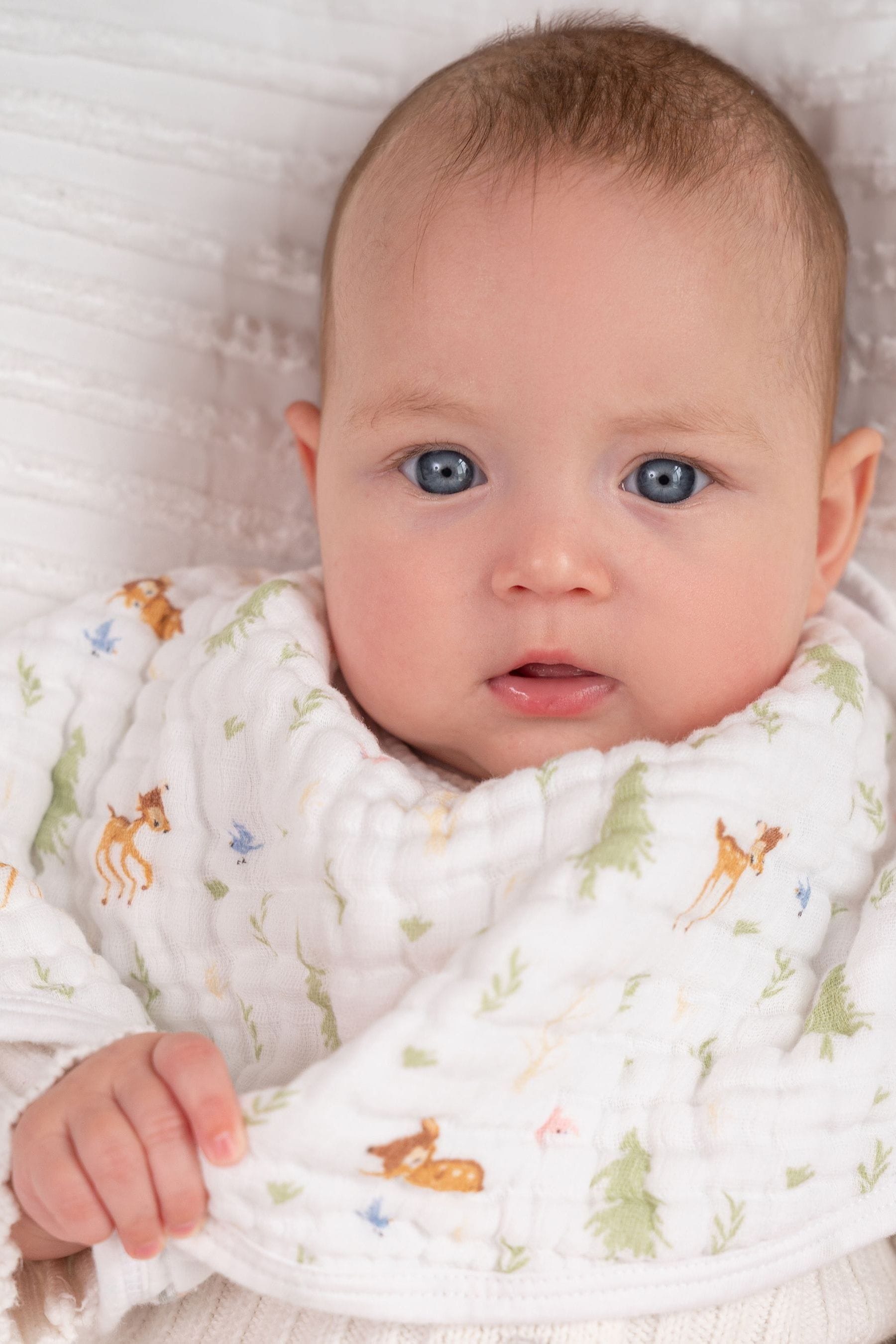 Buy aden + anais™ Essentials Cotton Muslin Baby Burpy Disney + FriendsBambi Forest Bib from the