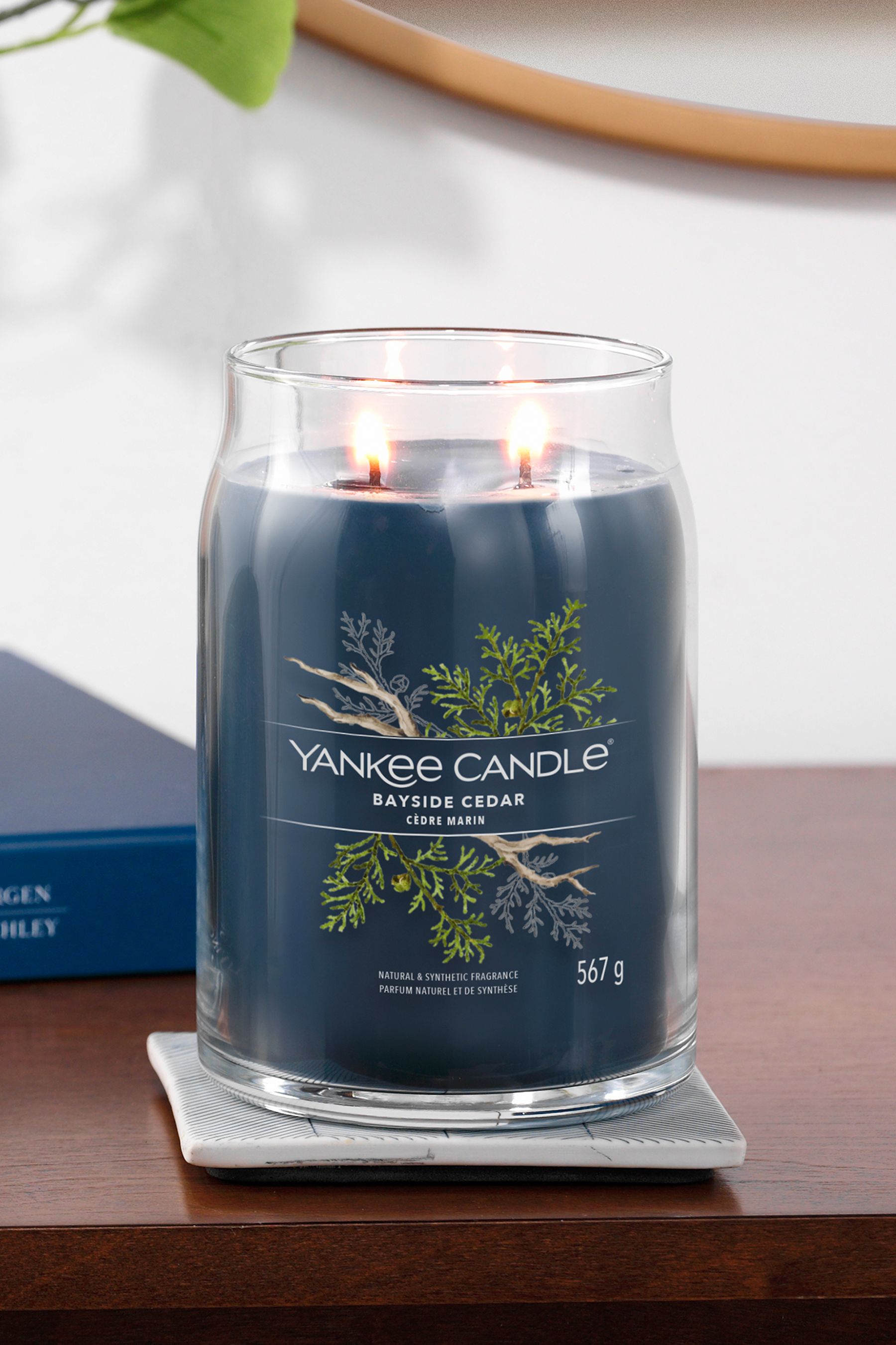 Buy Yankee Candle Signature Large Jar Scented Candle, Bayside Cedar