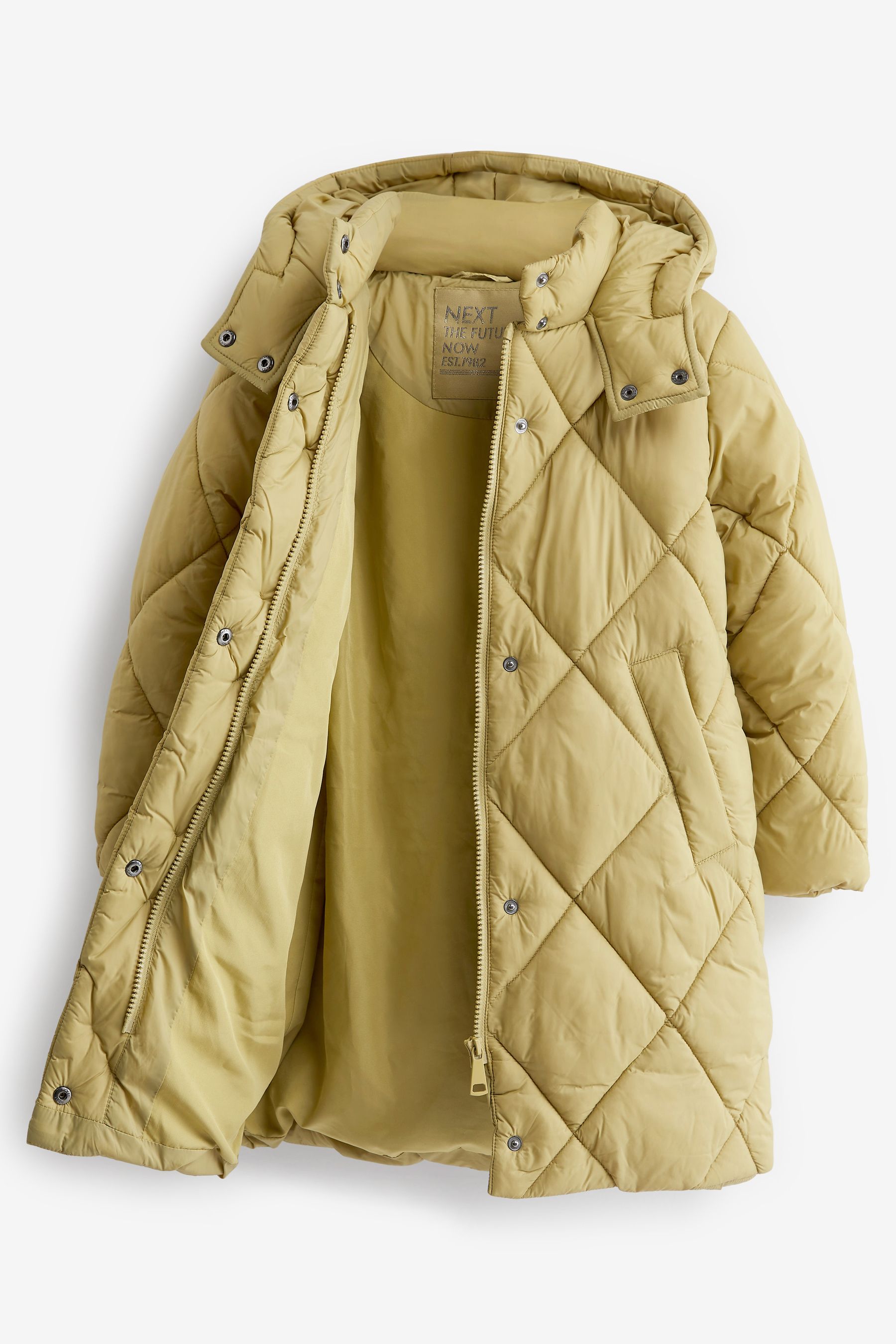 Buy Sage Green Shower Resistant Diamond Quilted Padded Coat (3-16yrs ...