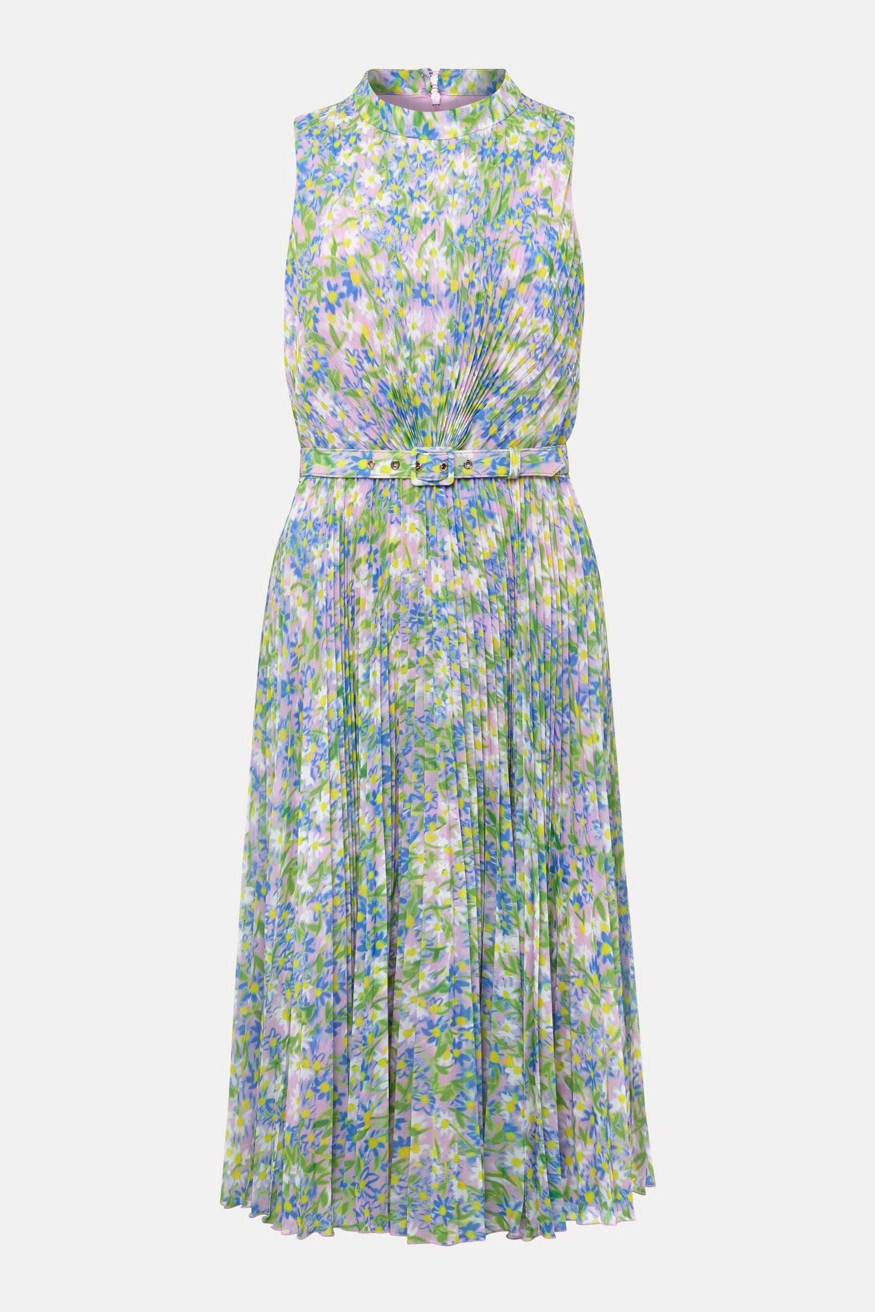 Buy Phase Eight Green Simara Pleat Daisy Print Dress from the Next UK ...