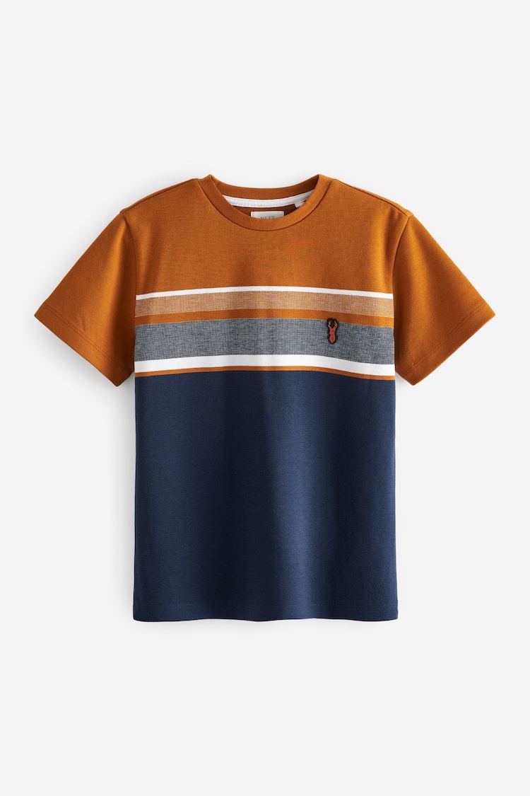 Tan Brown/Navy Blue Colourblock Short Sleeve T-Shirt (3-16yrs) - Image 1 of 1