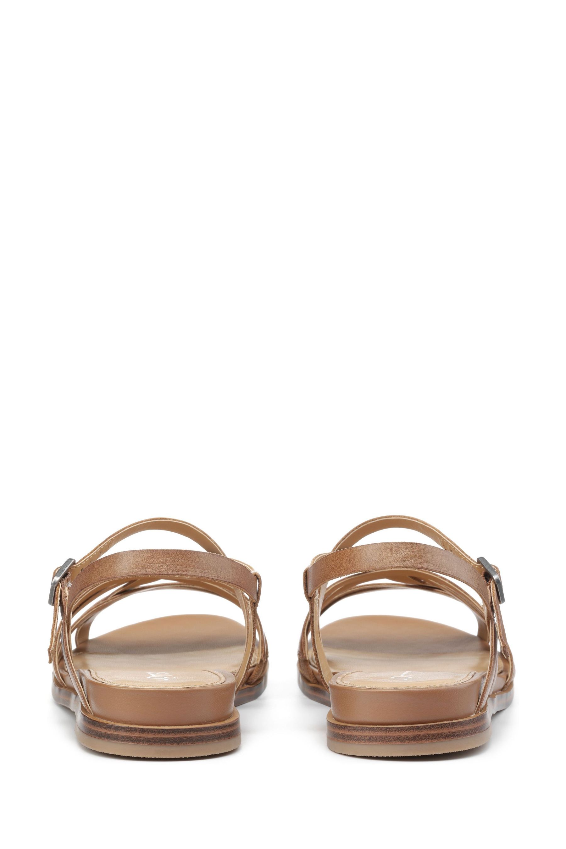 Buy Hotter Sienna Buckle Wide Fit Sandals from the Next UK online shop