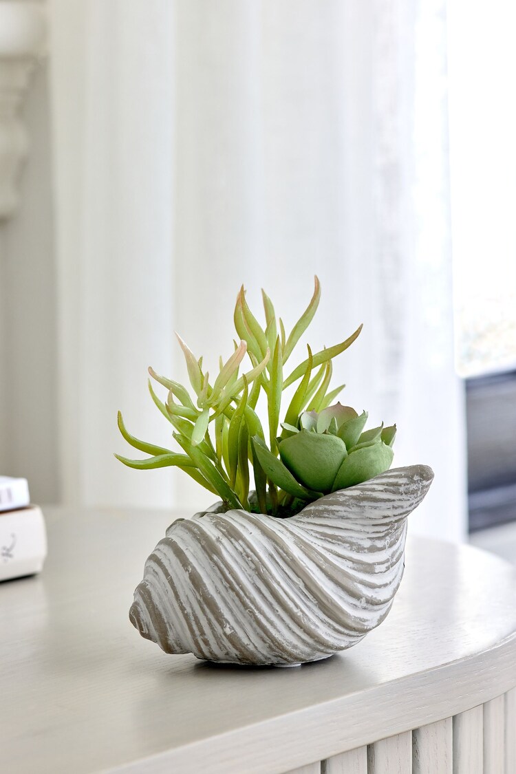 Green Artificial Succulent In A Grey Ceramic Shell - Image 1 of 1