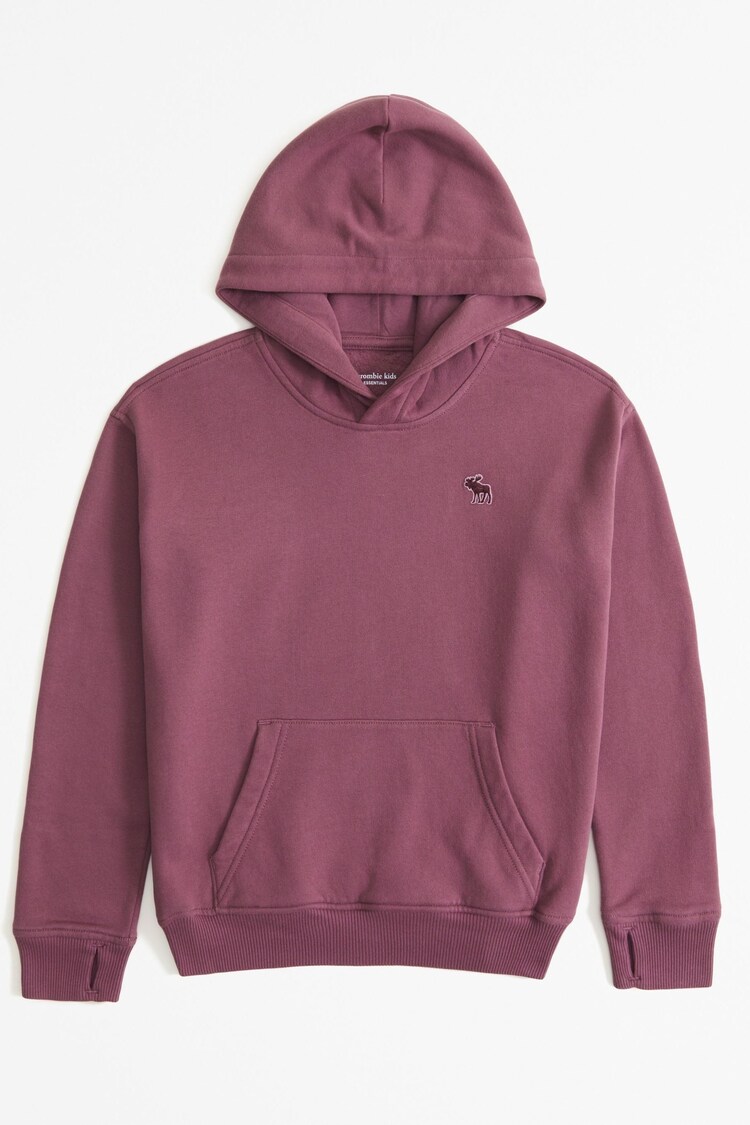 Abercrombie & Fitch Pullover Hoodie - Image 1 of 1