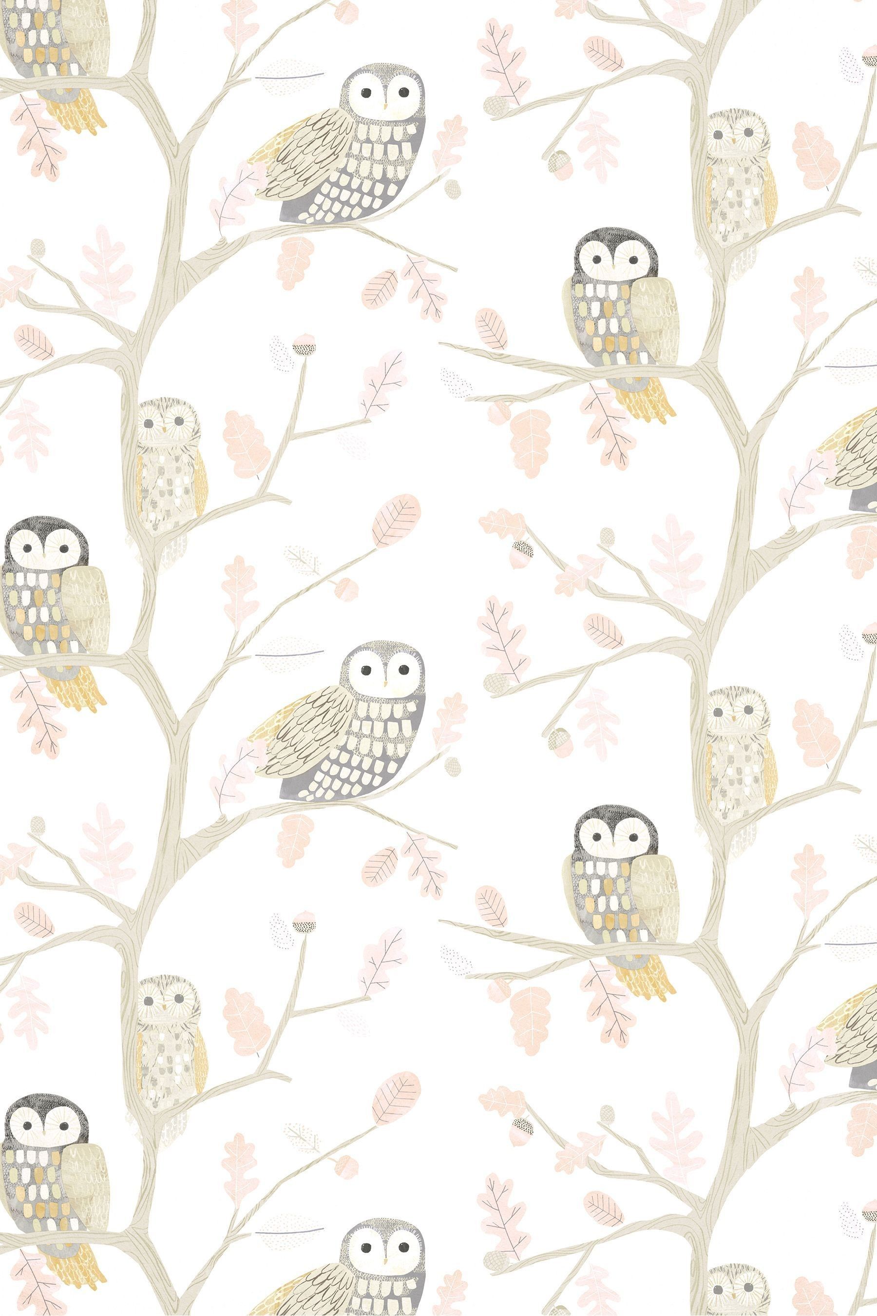 Buy Harlequin Natural Little Owls Wallpaper Children's Wallpaper from