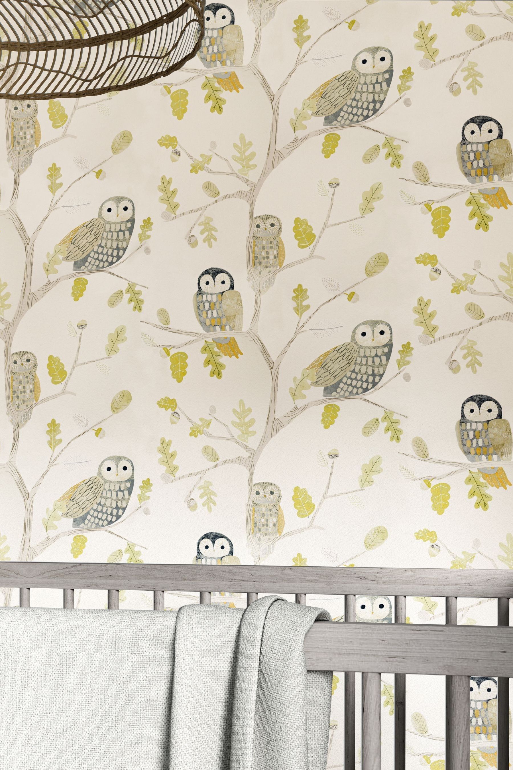 Buy Harlequin Green Little Owls Wallpaper Children's Wallpaper from the
