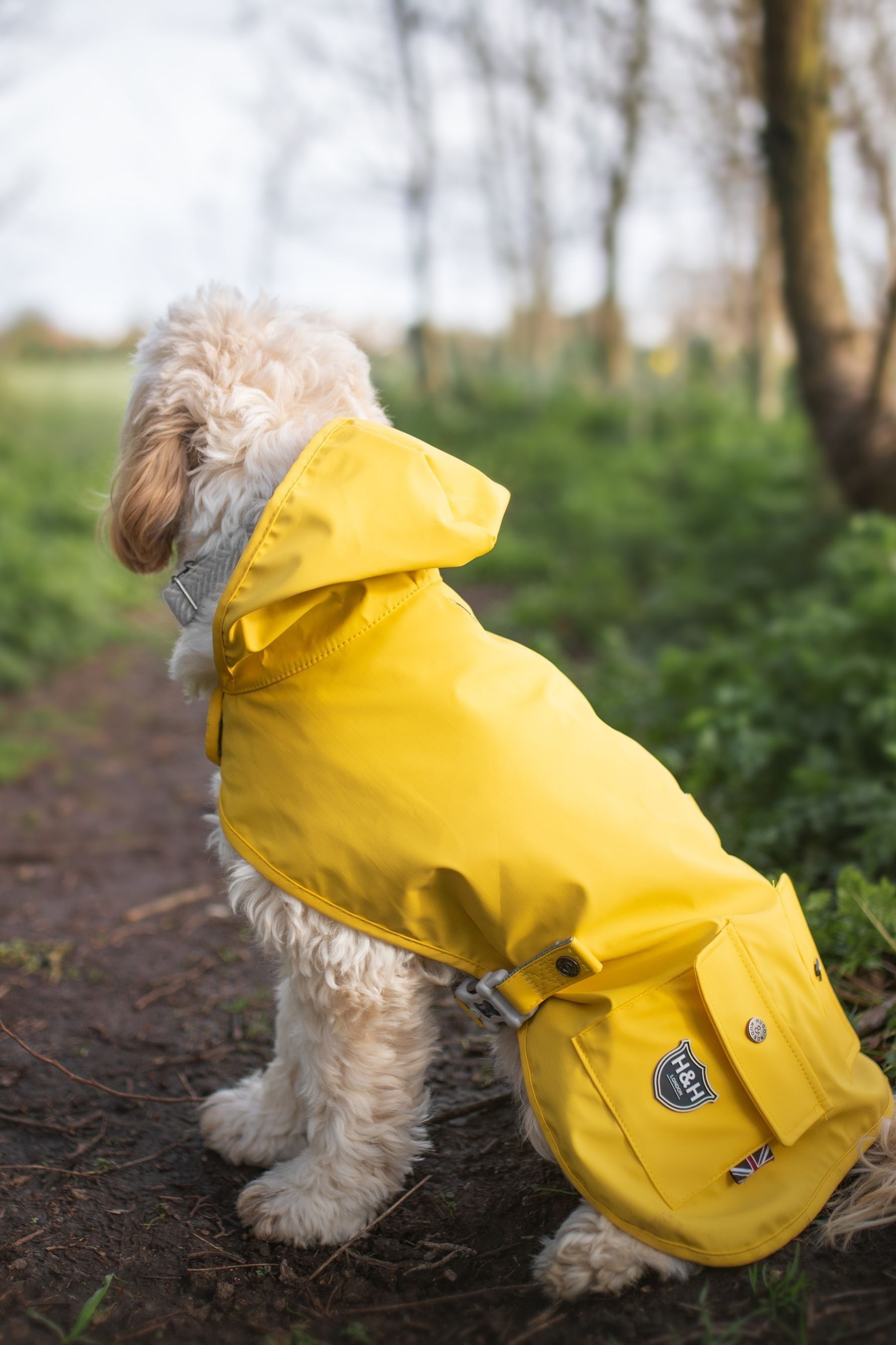 Buy Hugo & Hudson Yellow Dog Raincoat from the Next UK online shop