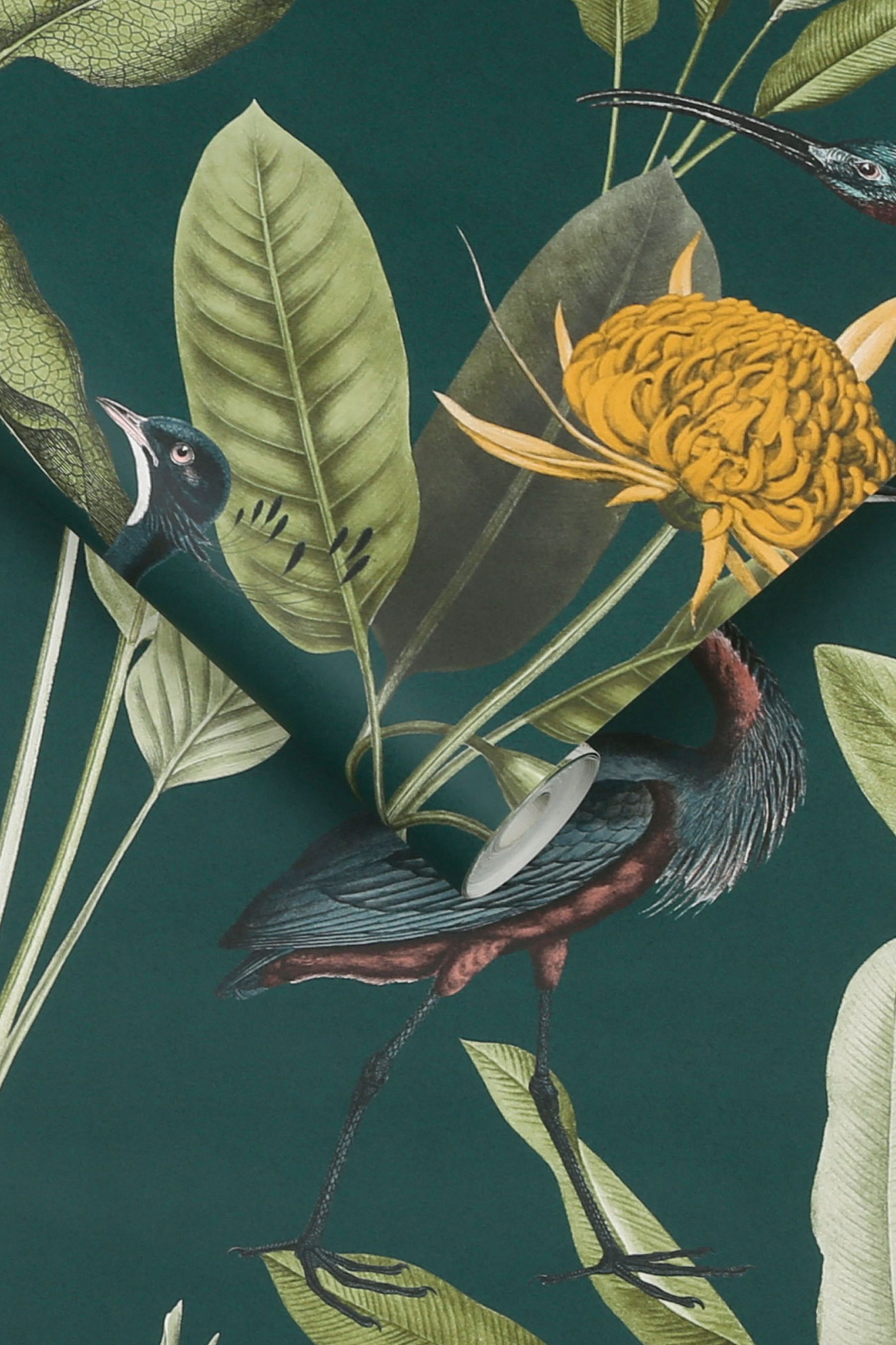 Buy Graham & Brown Green/Yellow Glasshouse Wallpaper Wallpaper from the